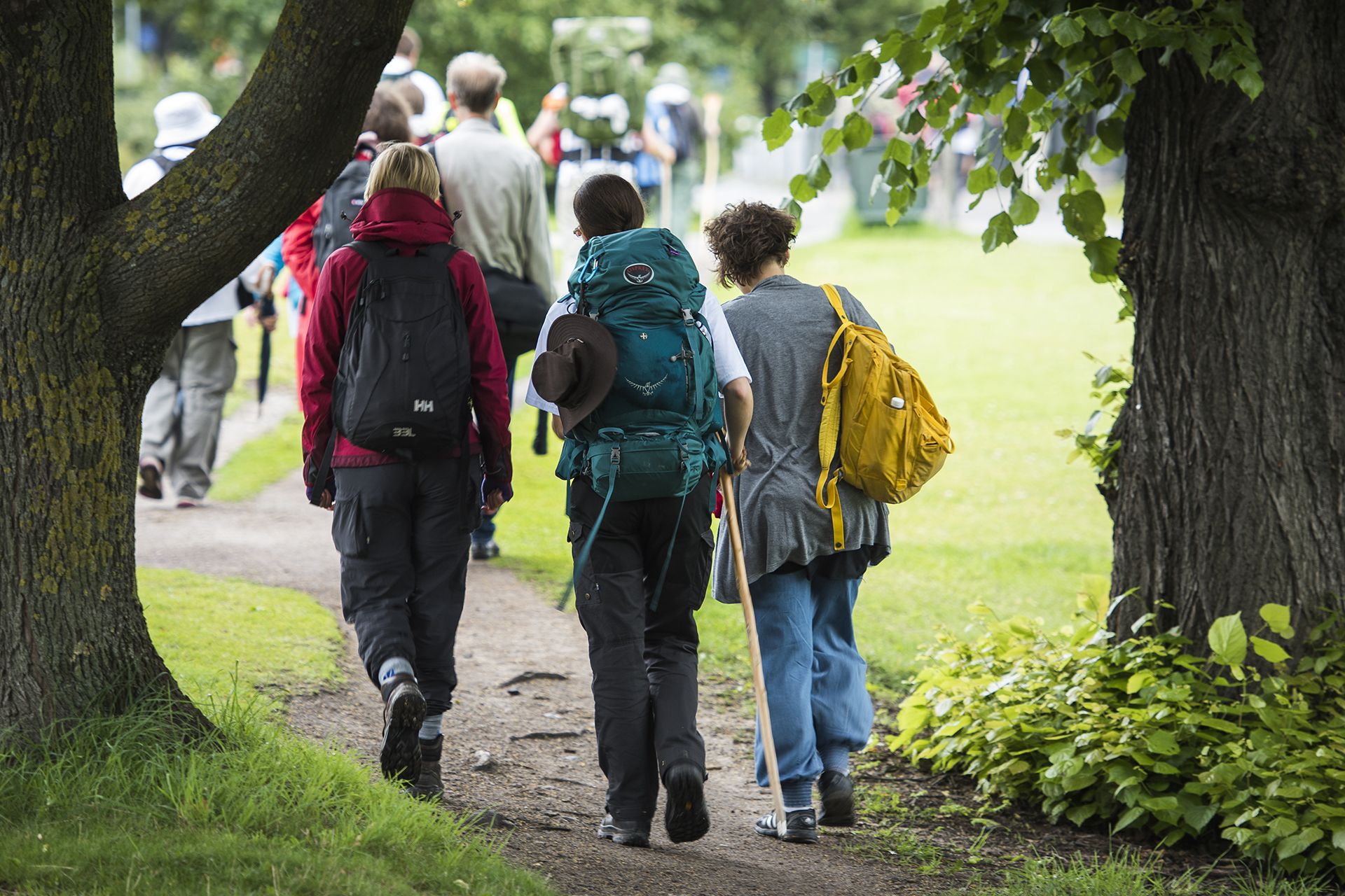Skapelsevandring Sankt Matteus