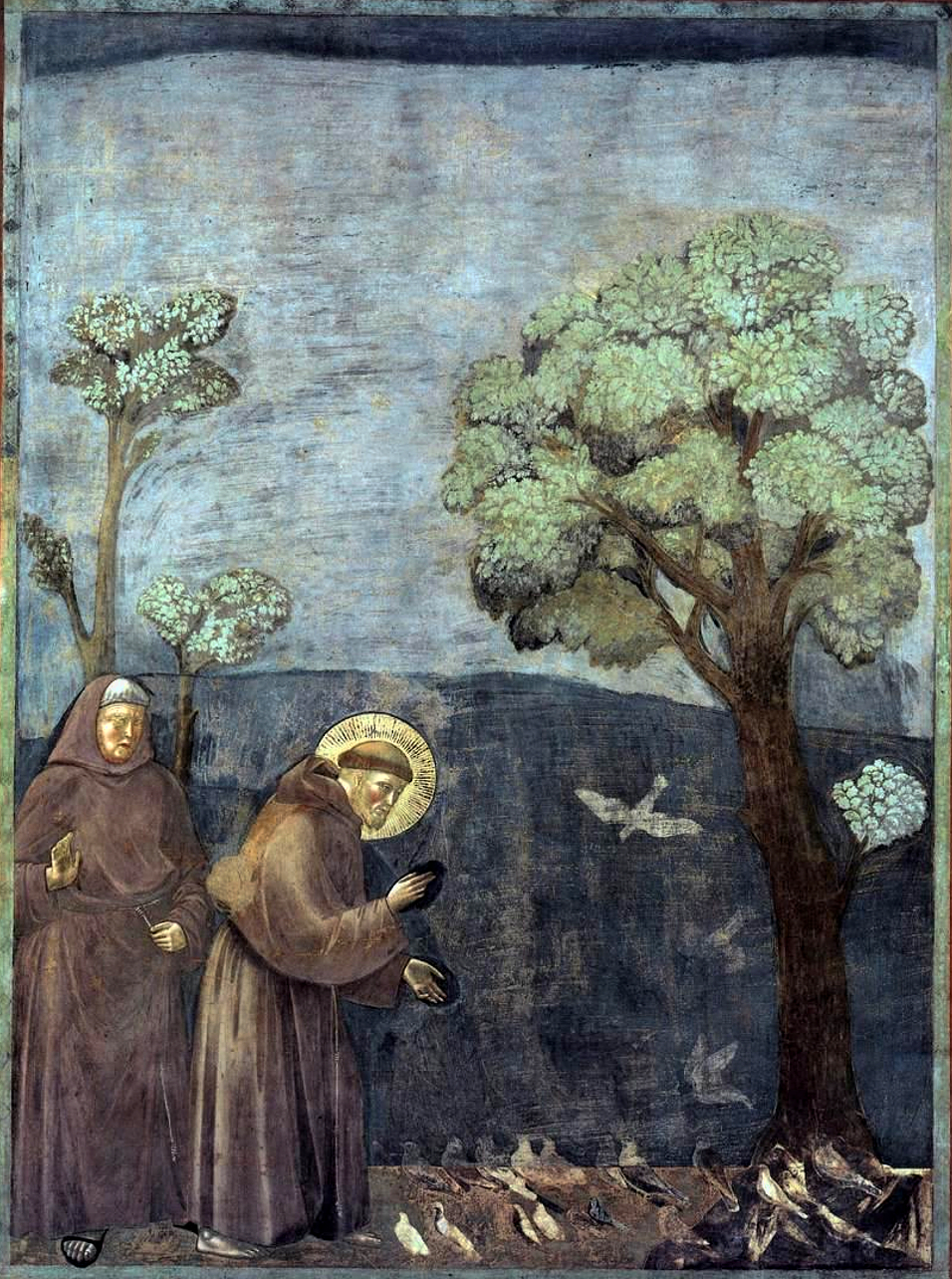 Legend of St Francis, Sermon to the Birds.