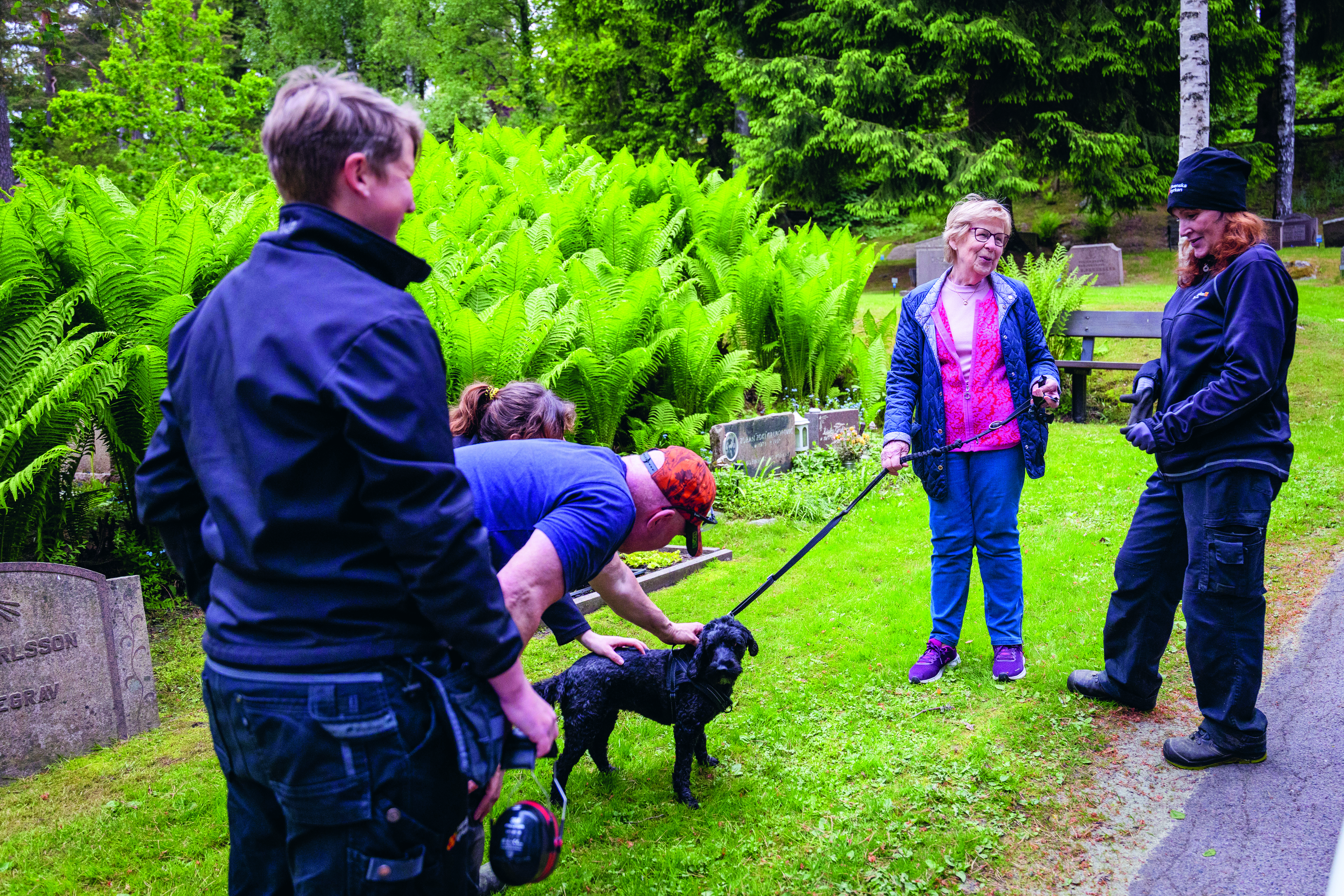 Personer samtalar på en kyrkogård medan en hund står bredvid. Gravstenar, grönska och ormbunkar syns i bakgrunden.