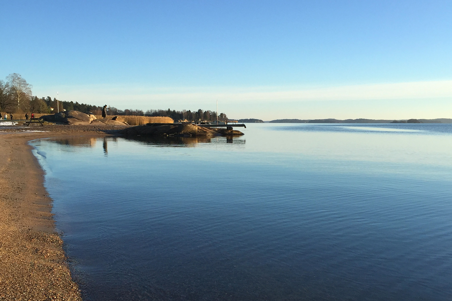 Vatten och strandkant.