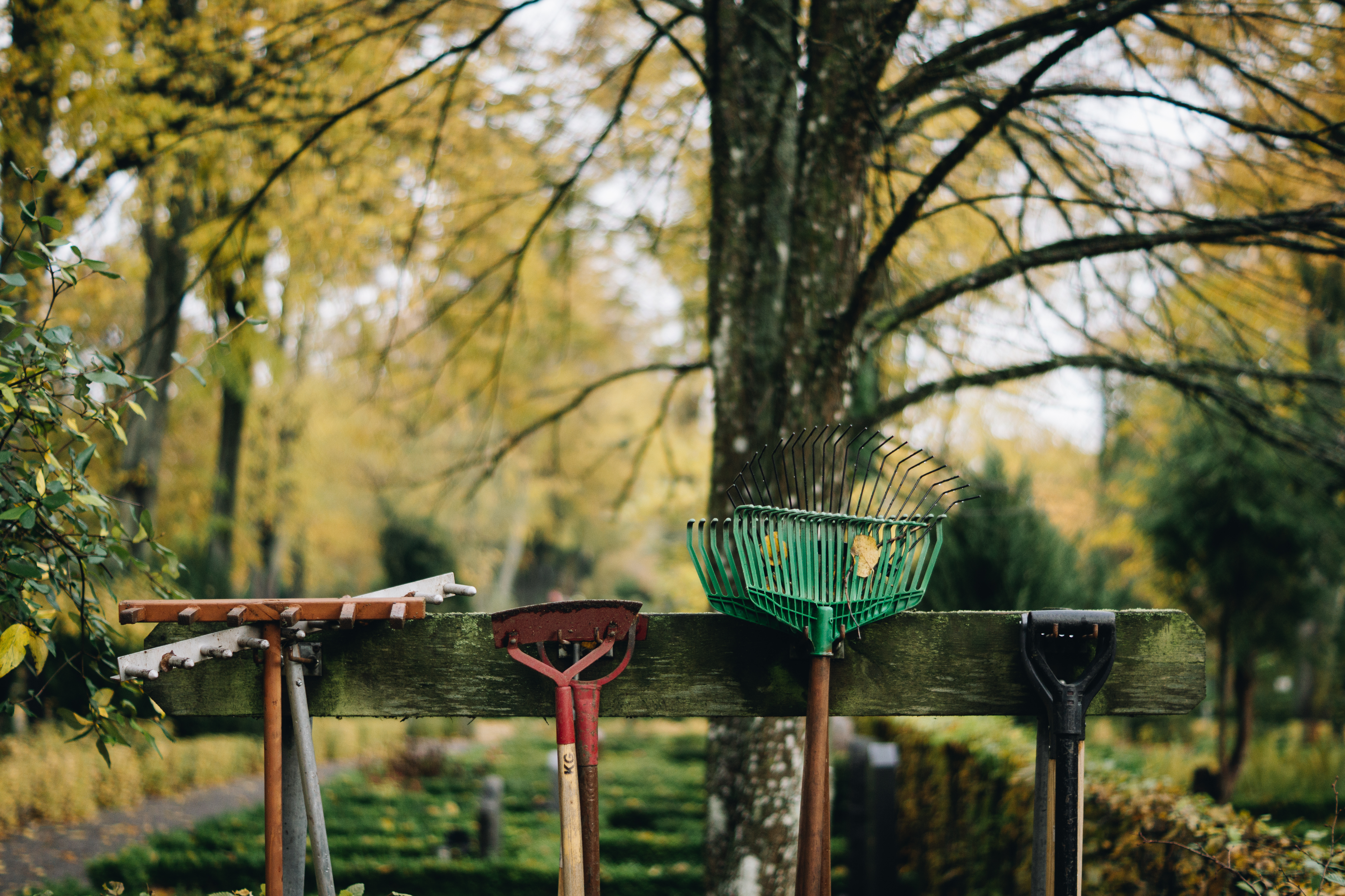 Redskapsbild från Norra kyrkogården