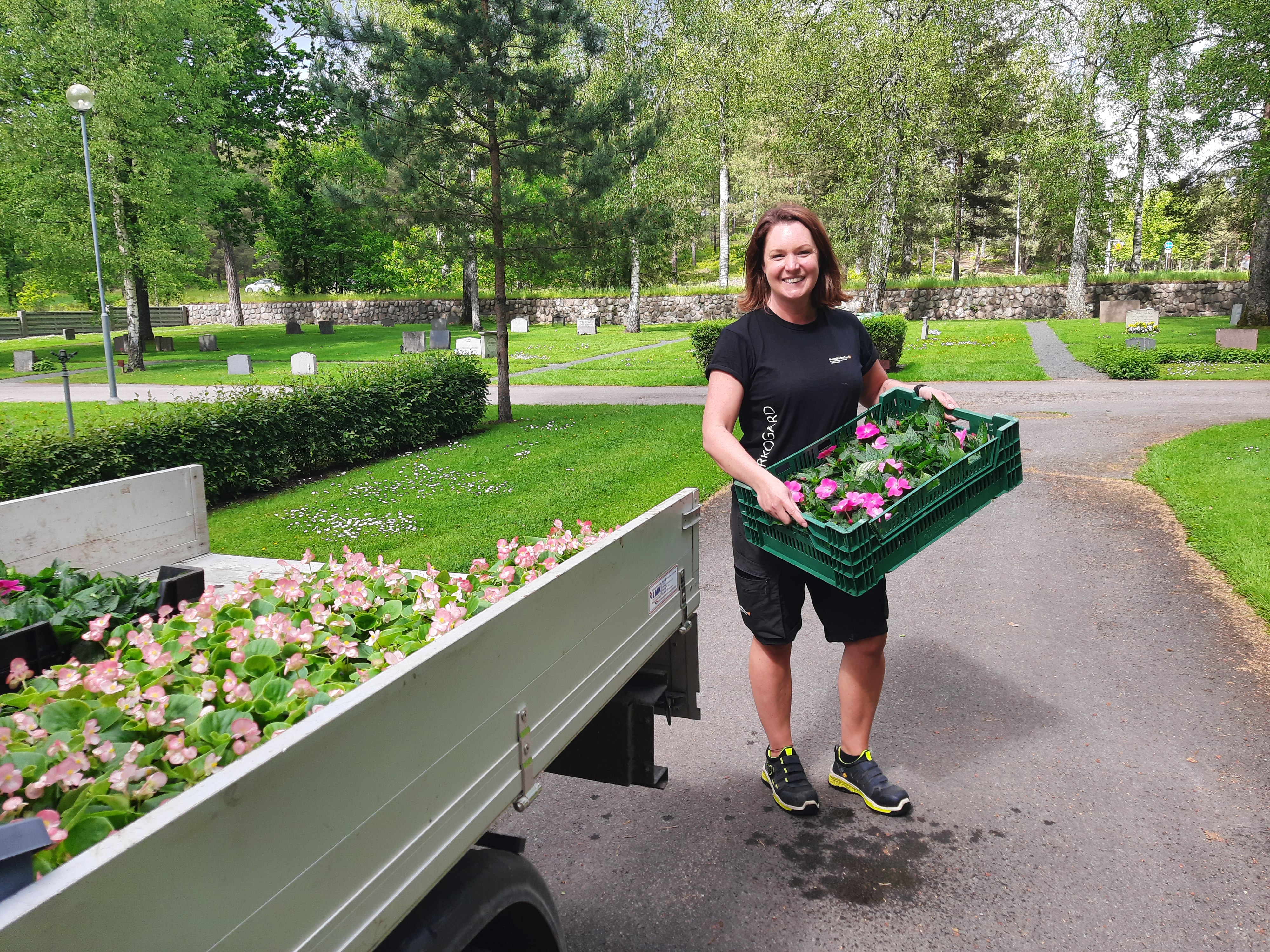 Sommarplantering