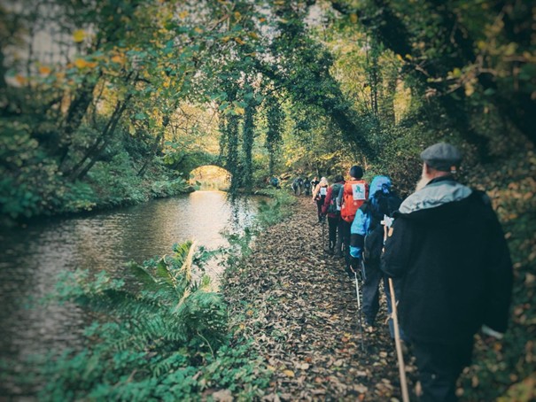 pilgrimsvandrare i en skog