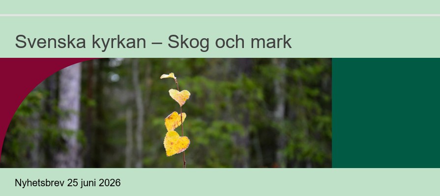 Nyhetsbrevets huvud med hjärtformade björklöv i fronten.