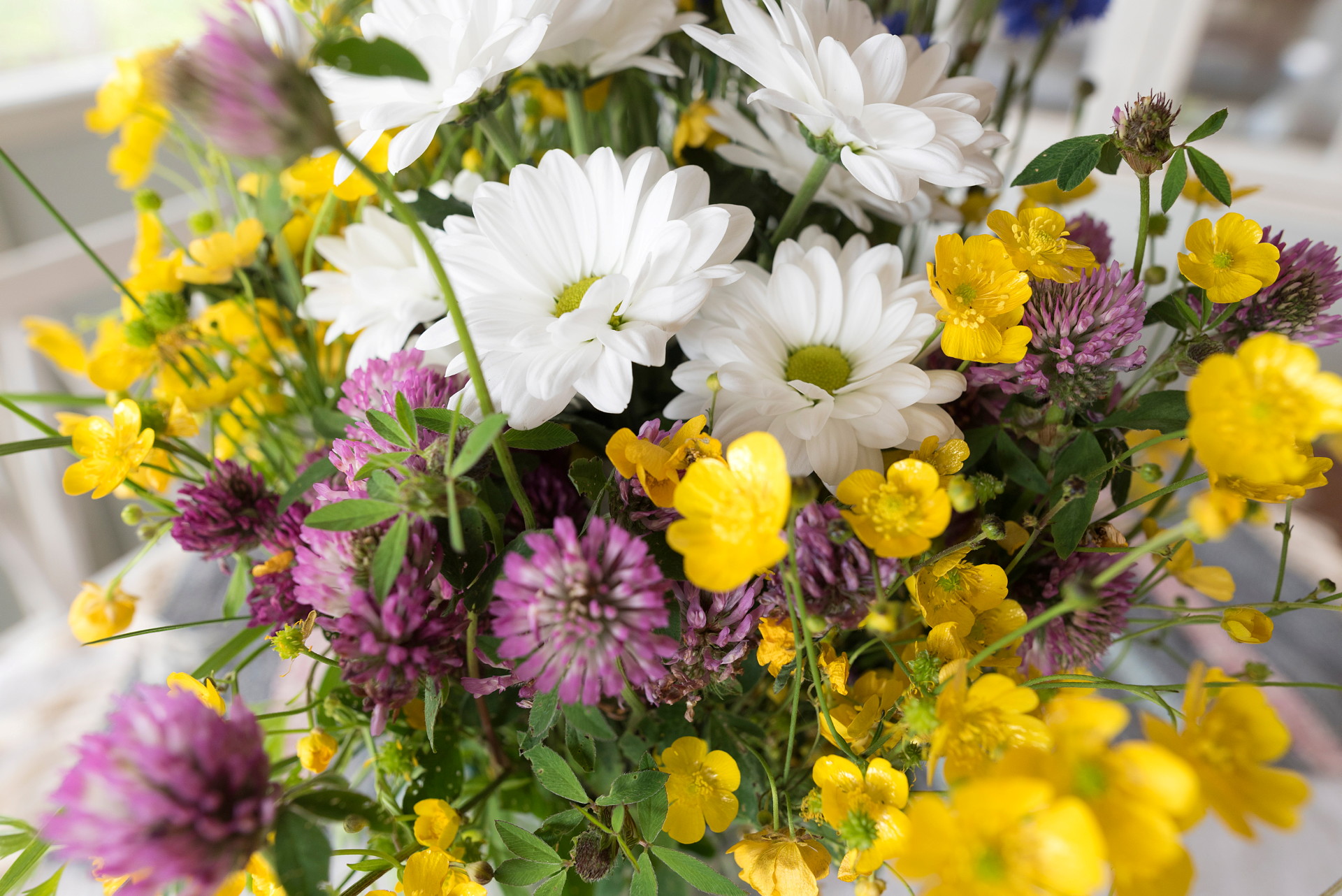 Midsommarblommor