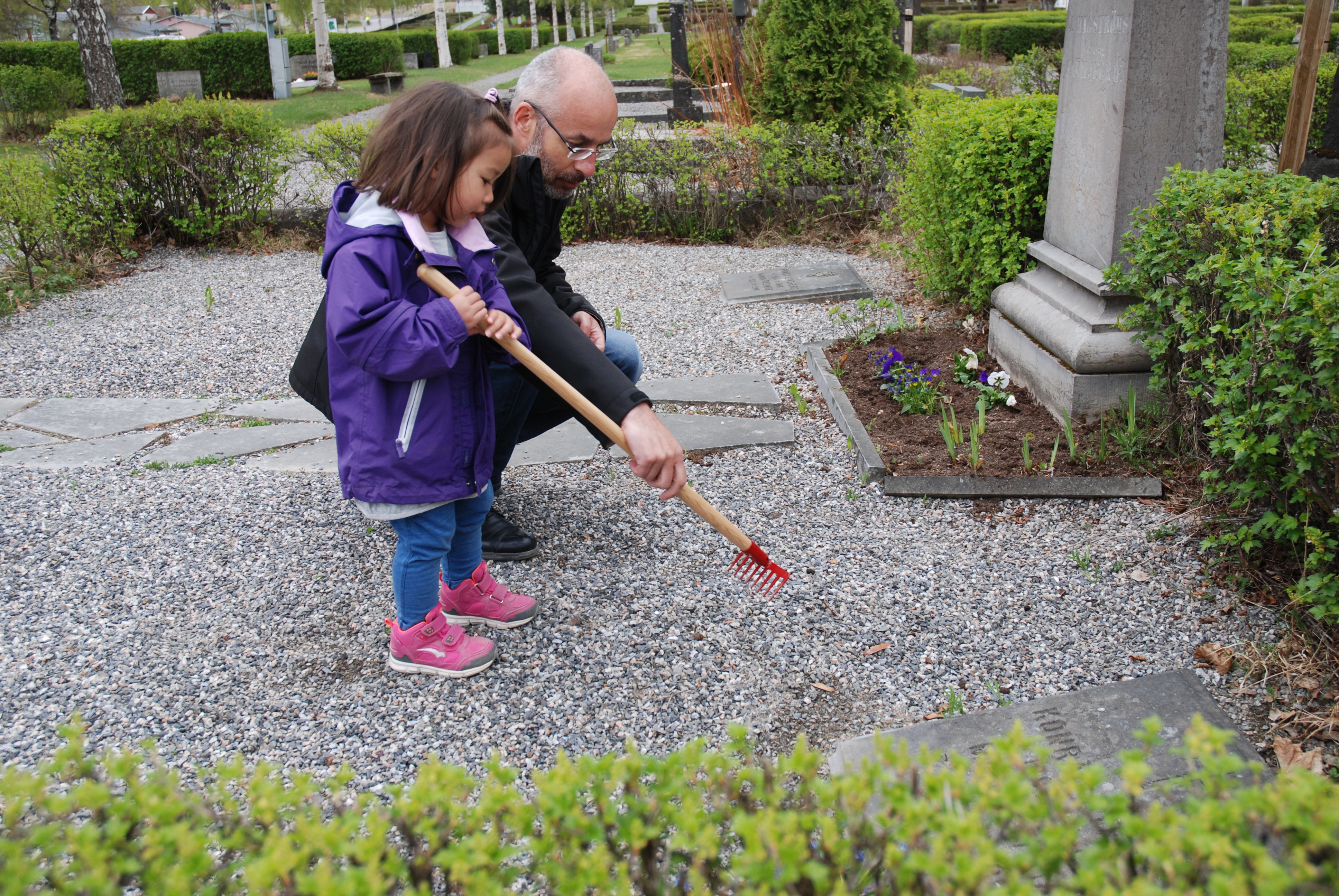 En pappa hjälper dotter att kratta gruset på en gravplats med en liten barnkratta.