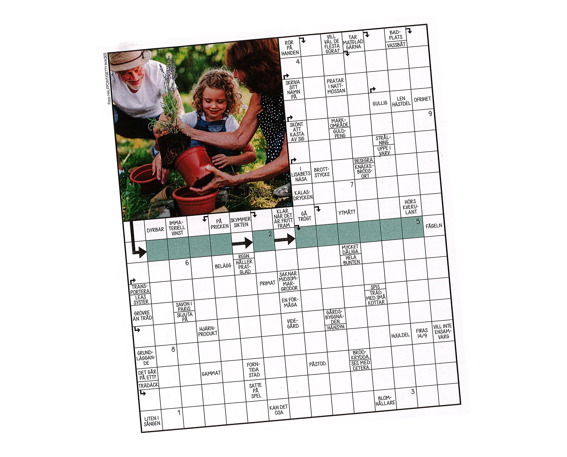 Korsord med sommarmotiv.