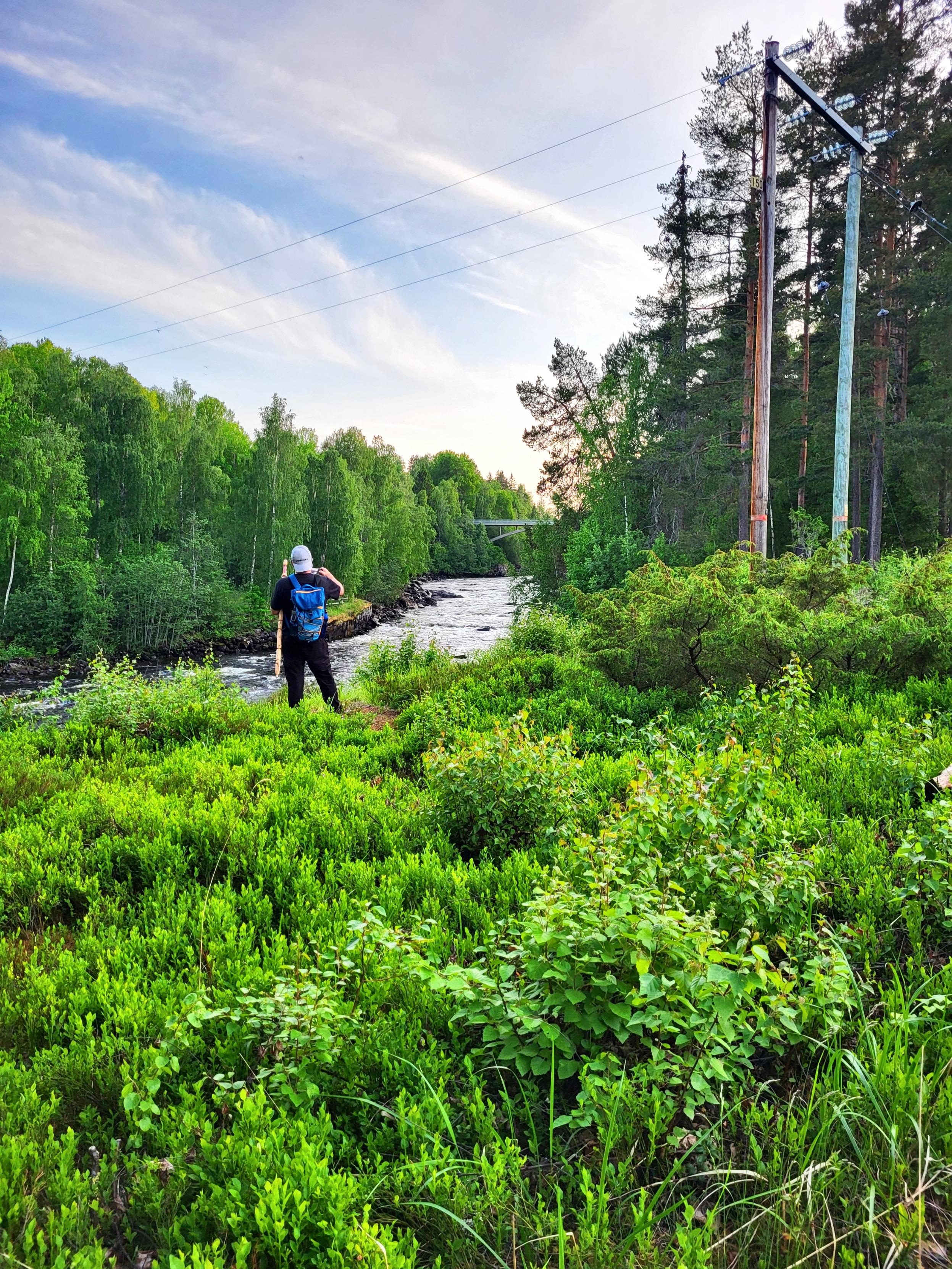 En person står vid en å i skogen en sommarkväll.