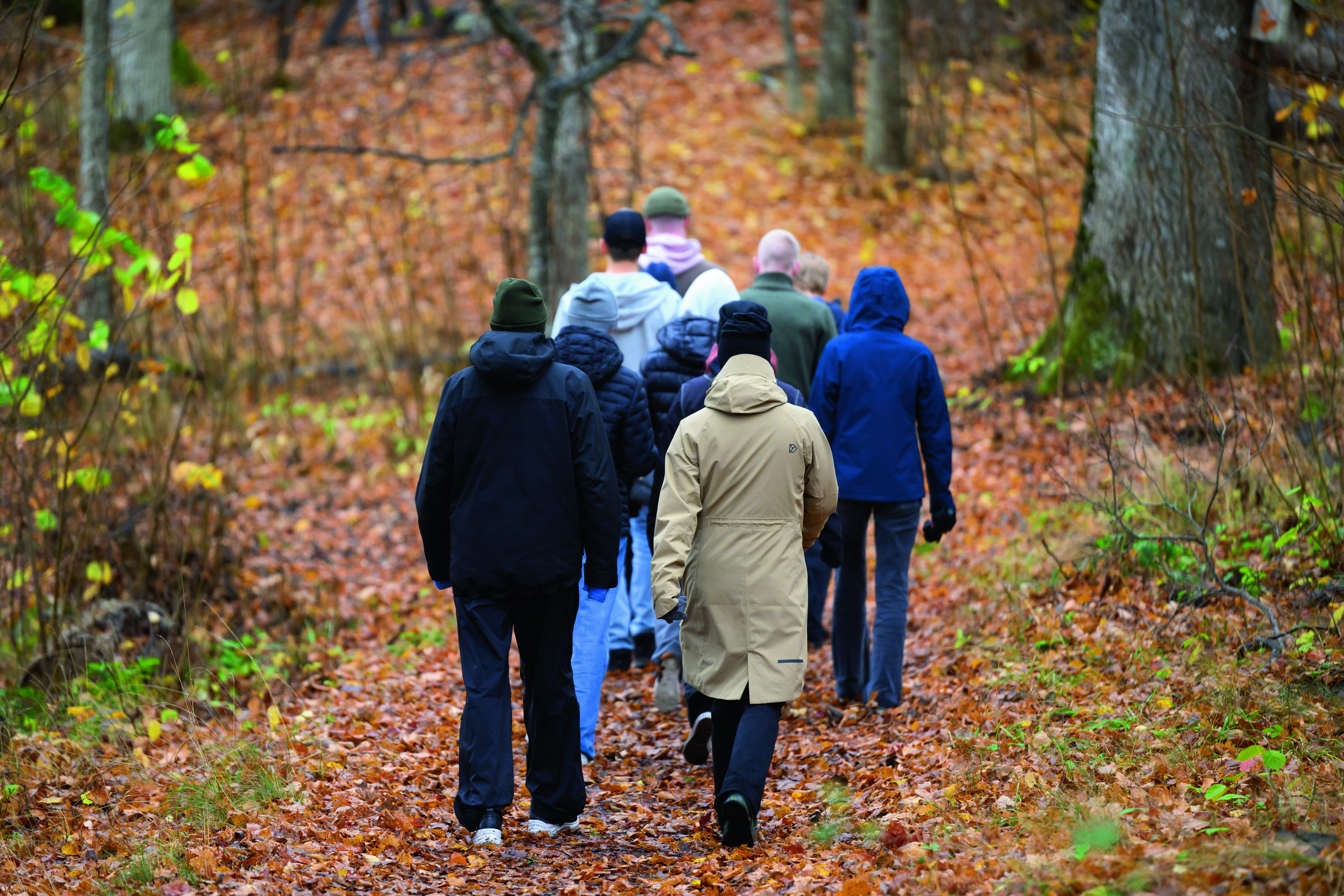 Personer som går i en höstskog