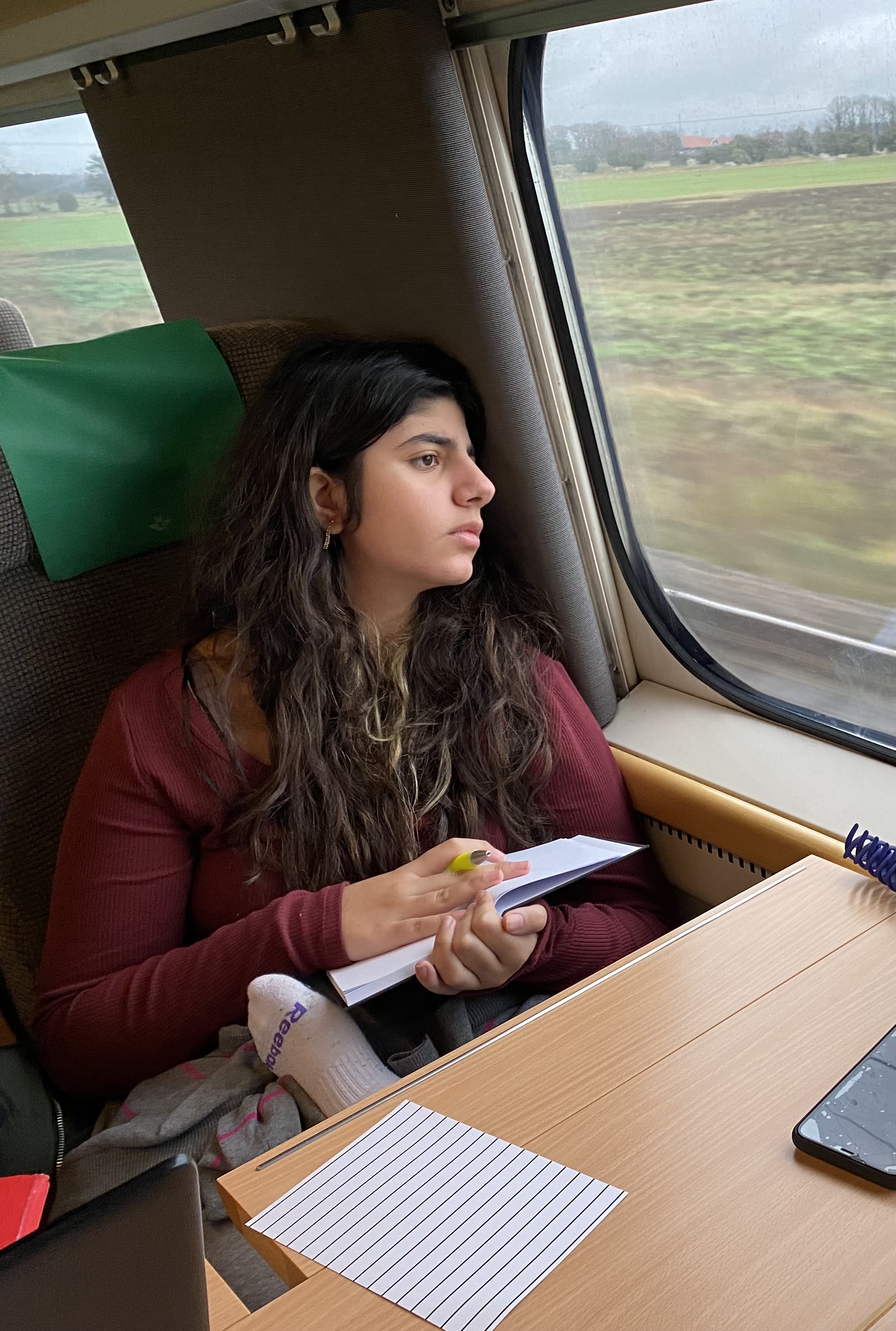 En tjej som åker tåg och tittar fundersamt ut genom fönstret.