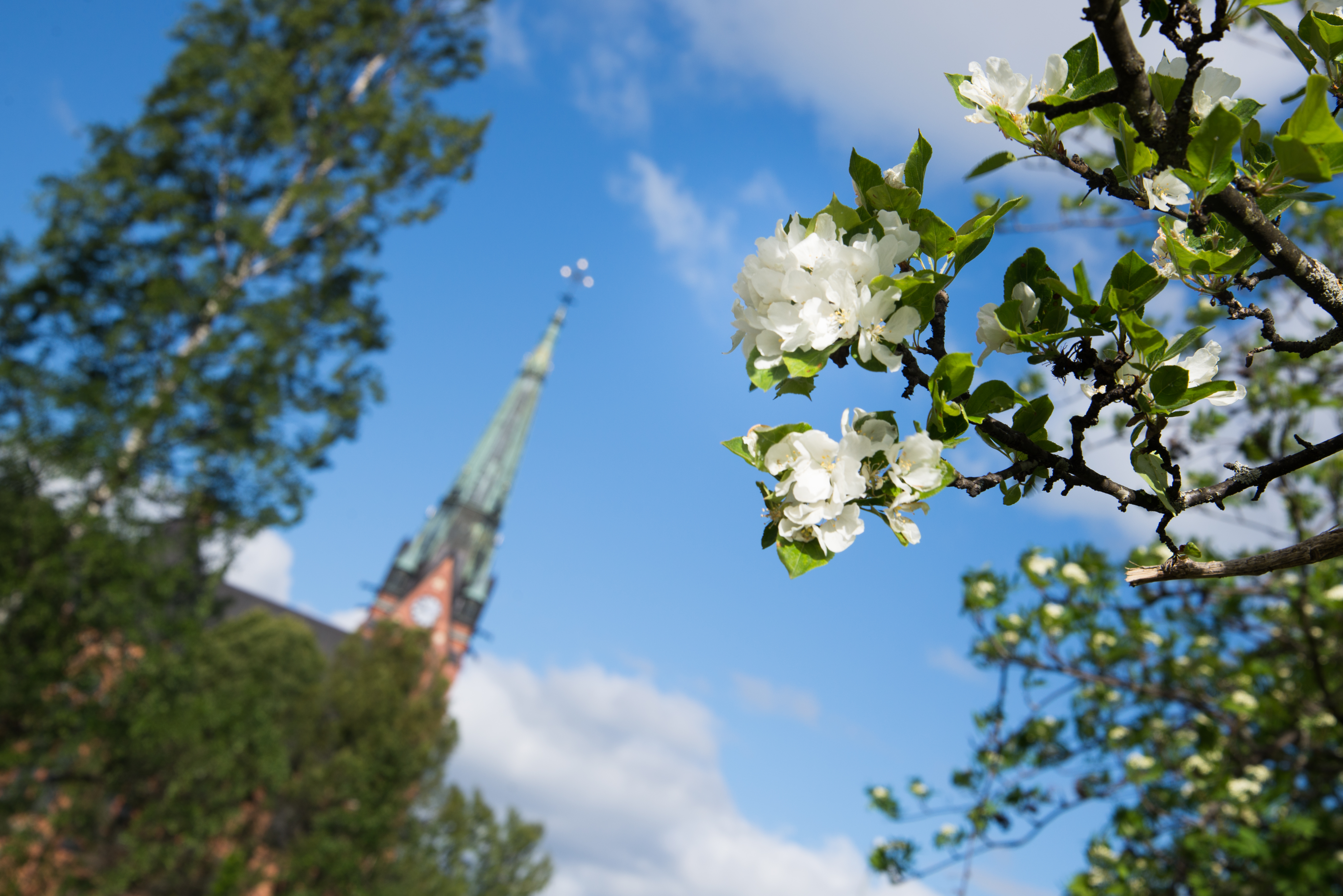 Bild på Umeå stads kyrka