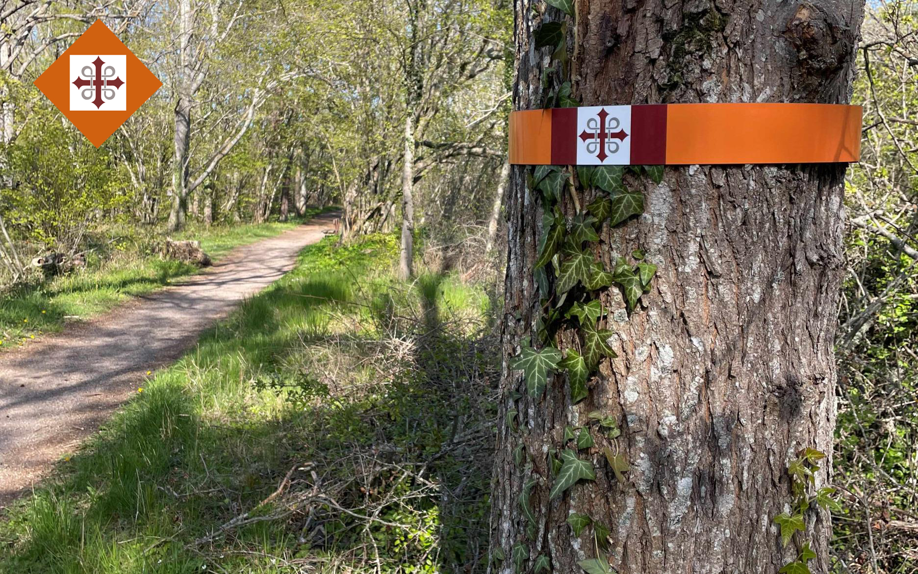 pilgrimsvandrings