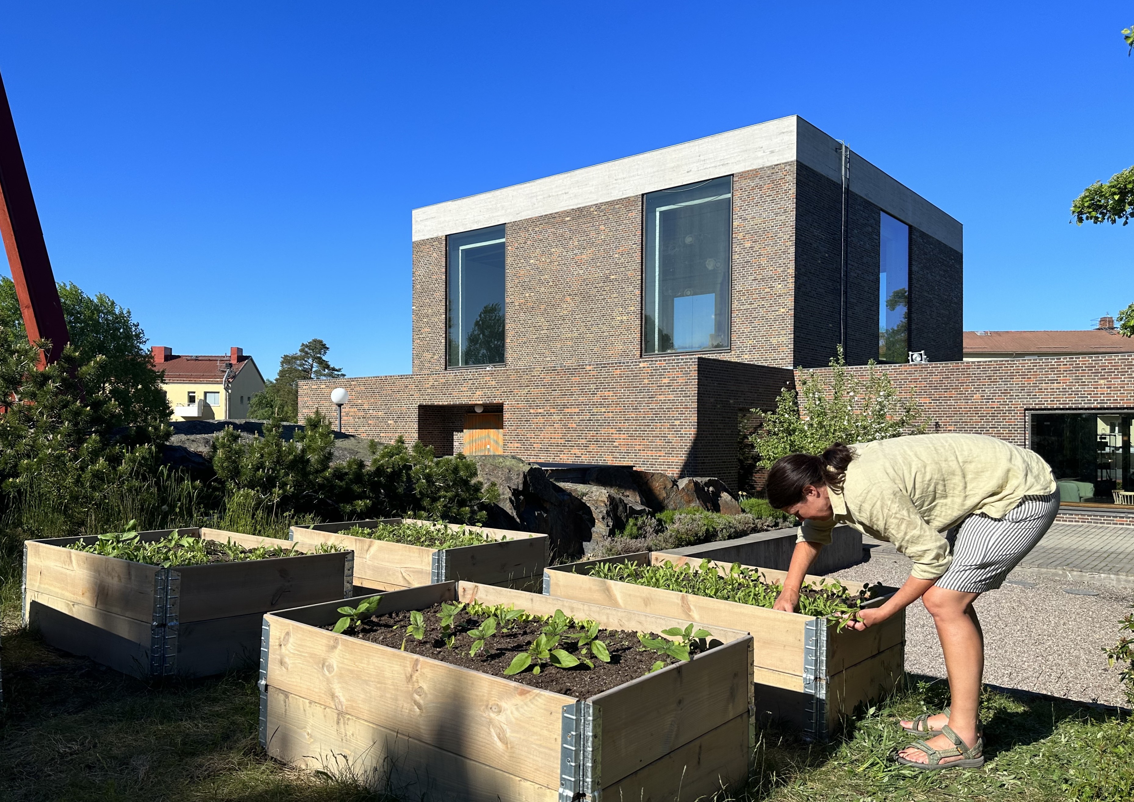 odling utanför Årsta kyrka