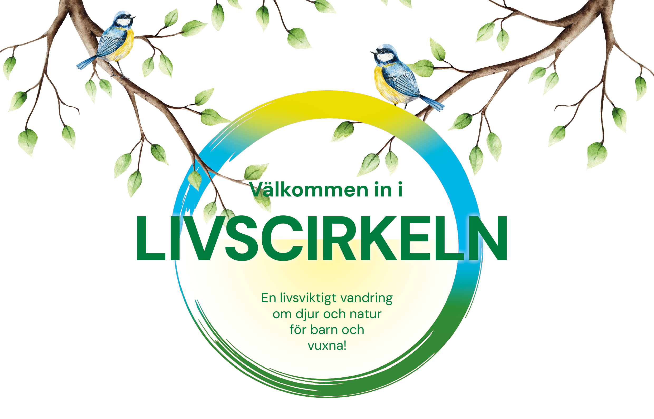 livscirkeln