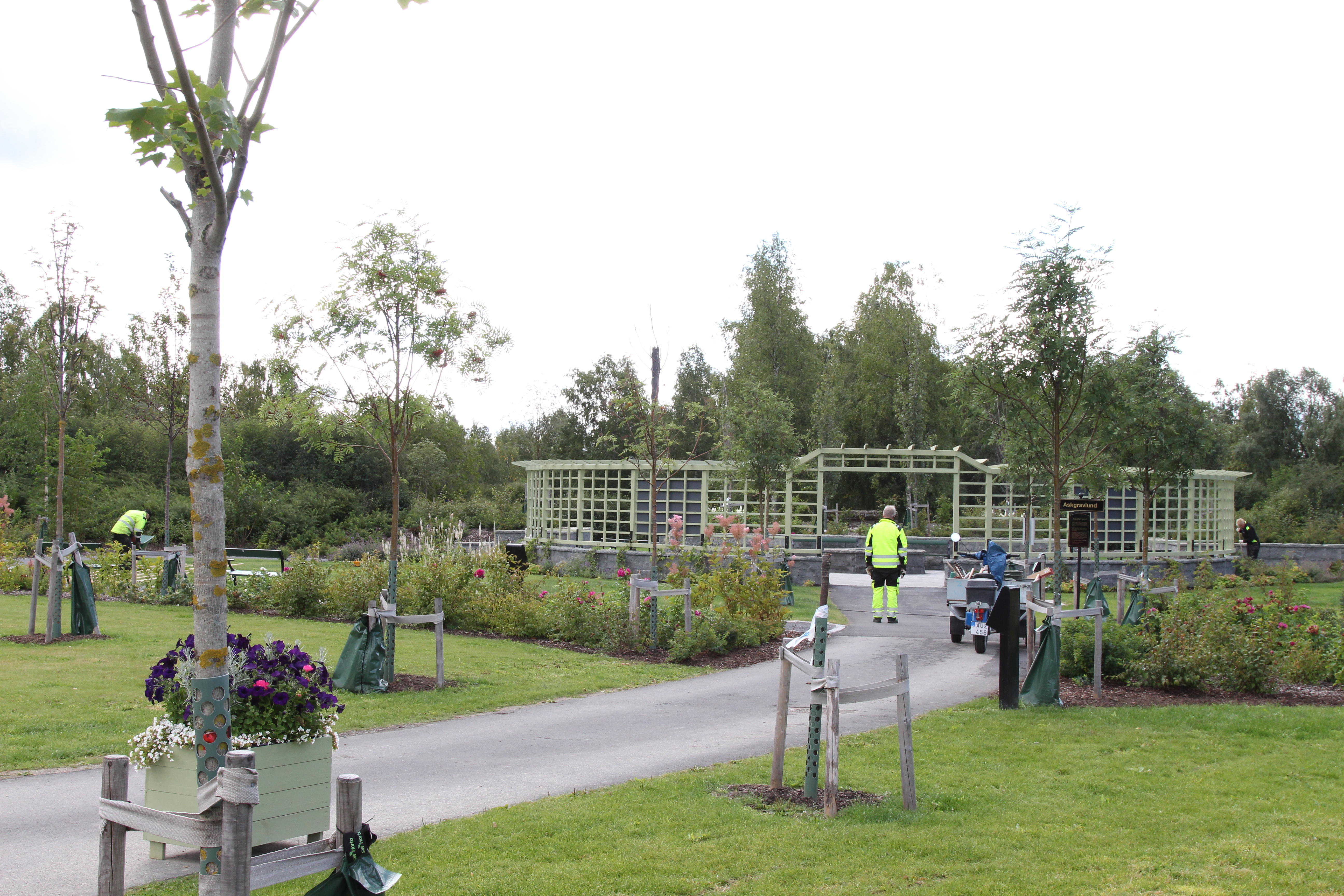 Askgravlunden på Östra Begravningsplatsen