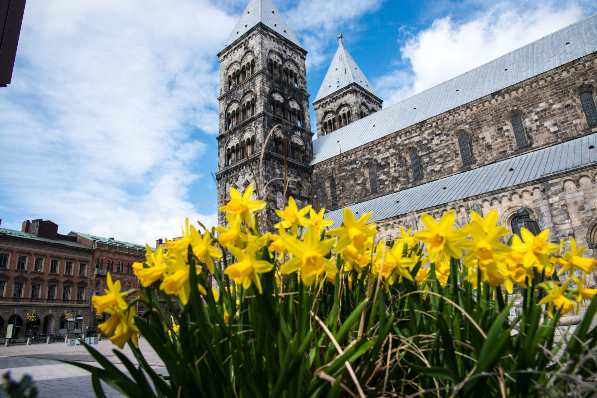 Domkyrkan mot en fond av påskliljor.