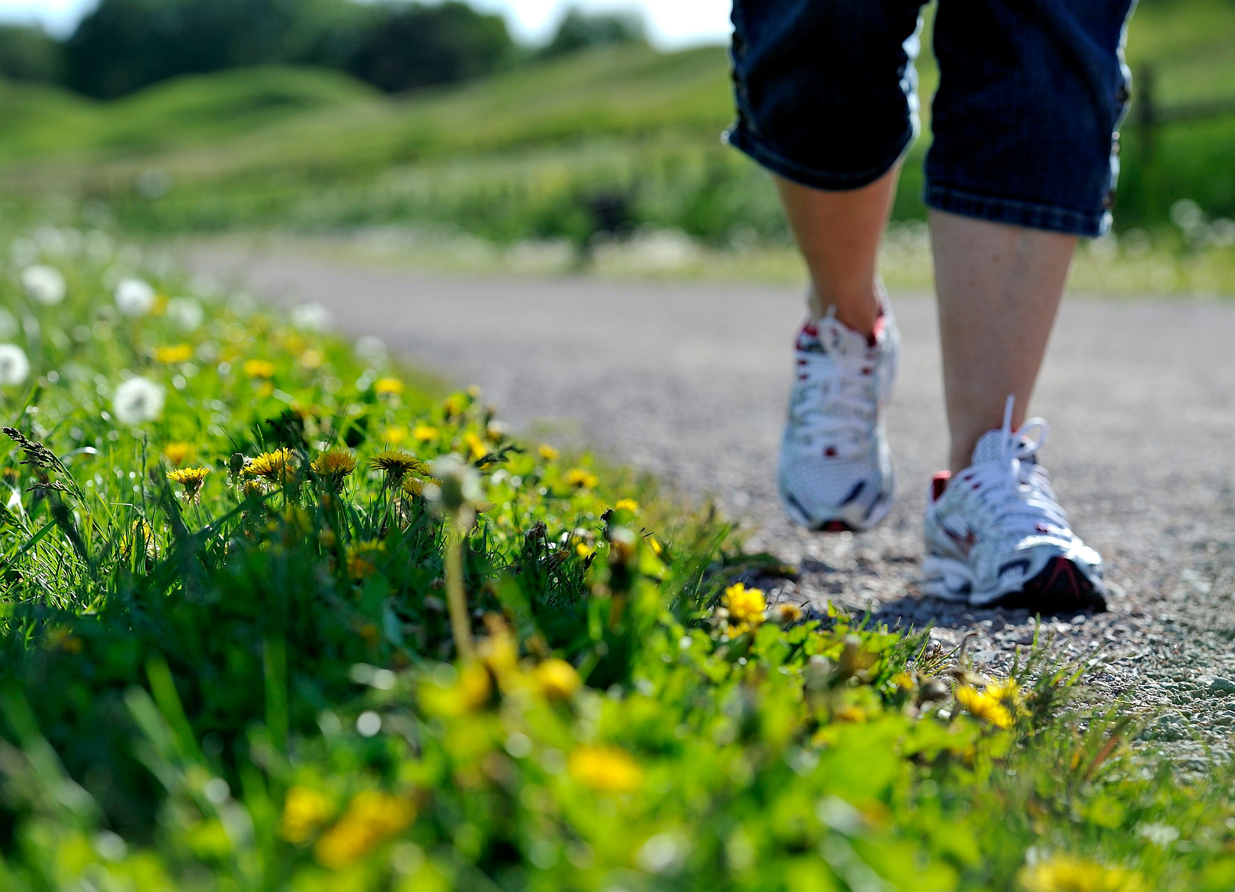 Närbild på fötter i vandringsskor vid en blommande vägren