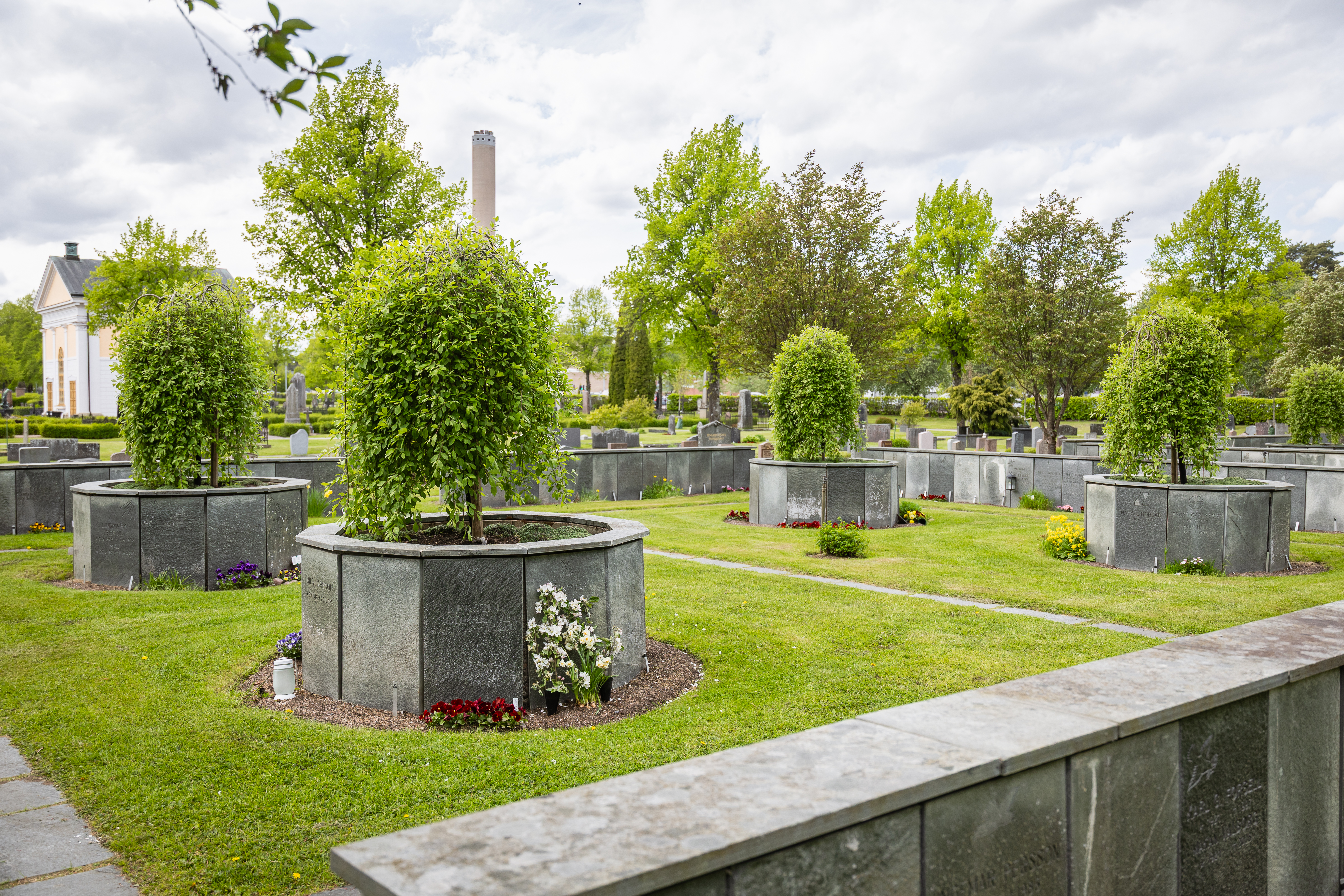 Stående gravstenar i cirklar som utgör minnesplats för urnor på Gamla kyrkogården