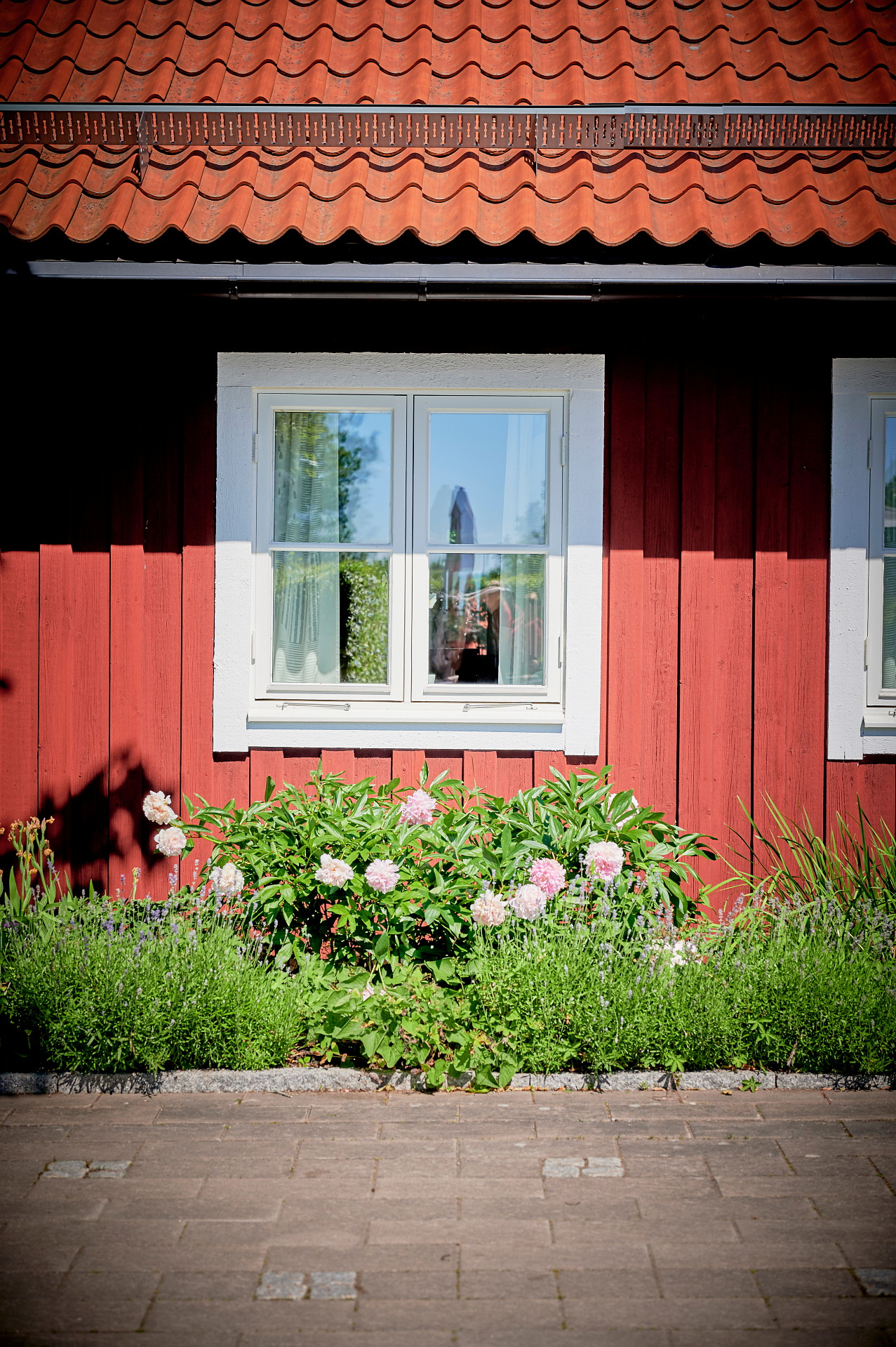 Pioner vid husvägg