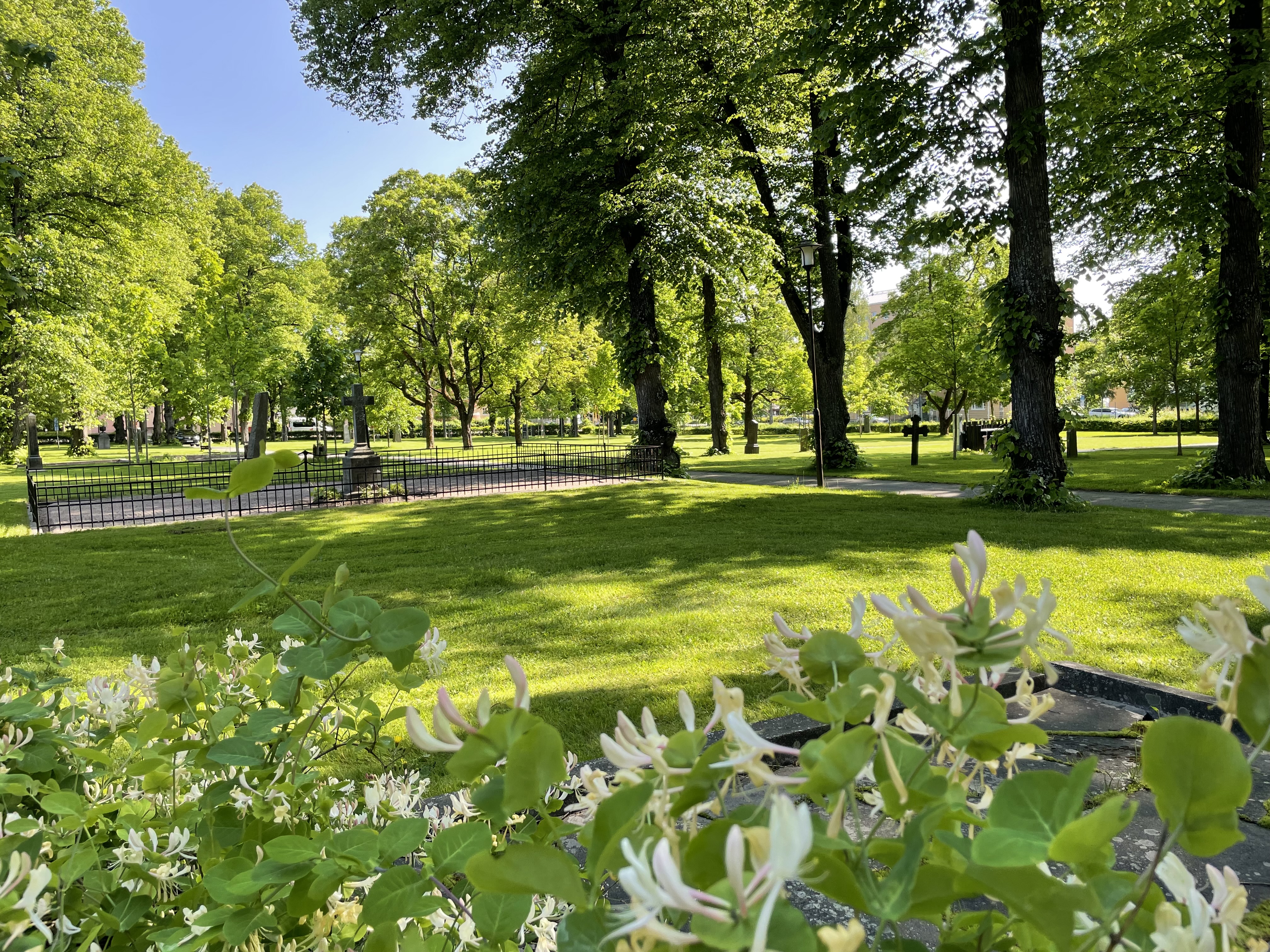 Kämparvets kyrkogård i Falun