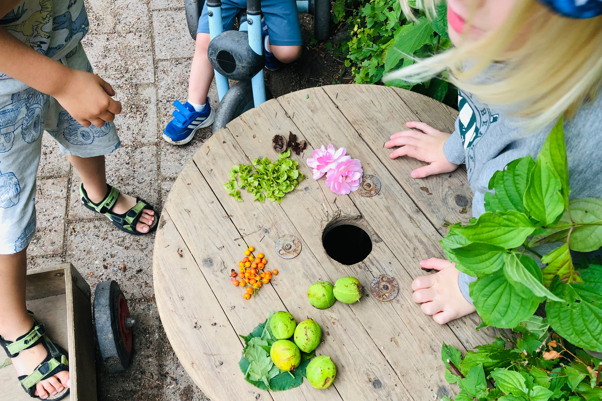 Tre barn står runt ett bord utomhus. På bordet ligger blommor och andra växtdelar de har plockat i naturen. 