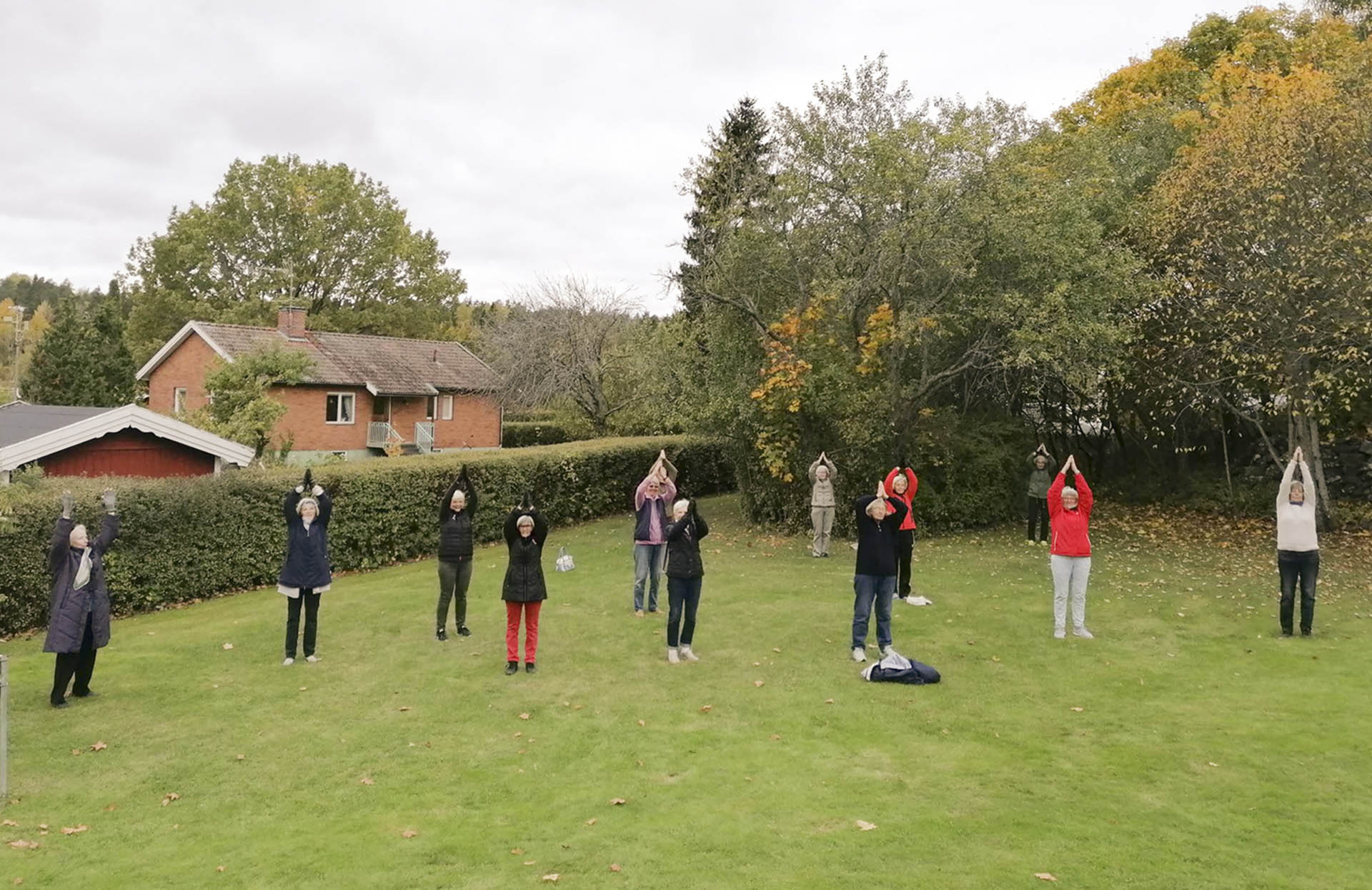 Ett tiotal personer utövar qigong på en gräsmatta. Det är höst.