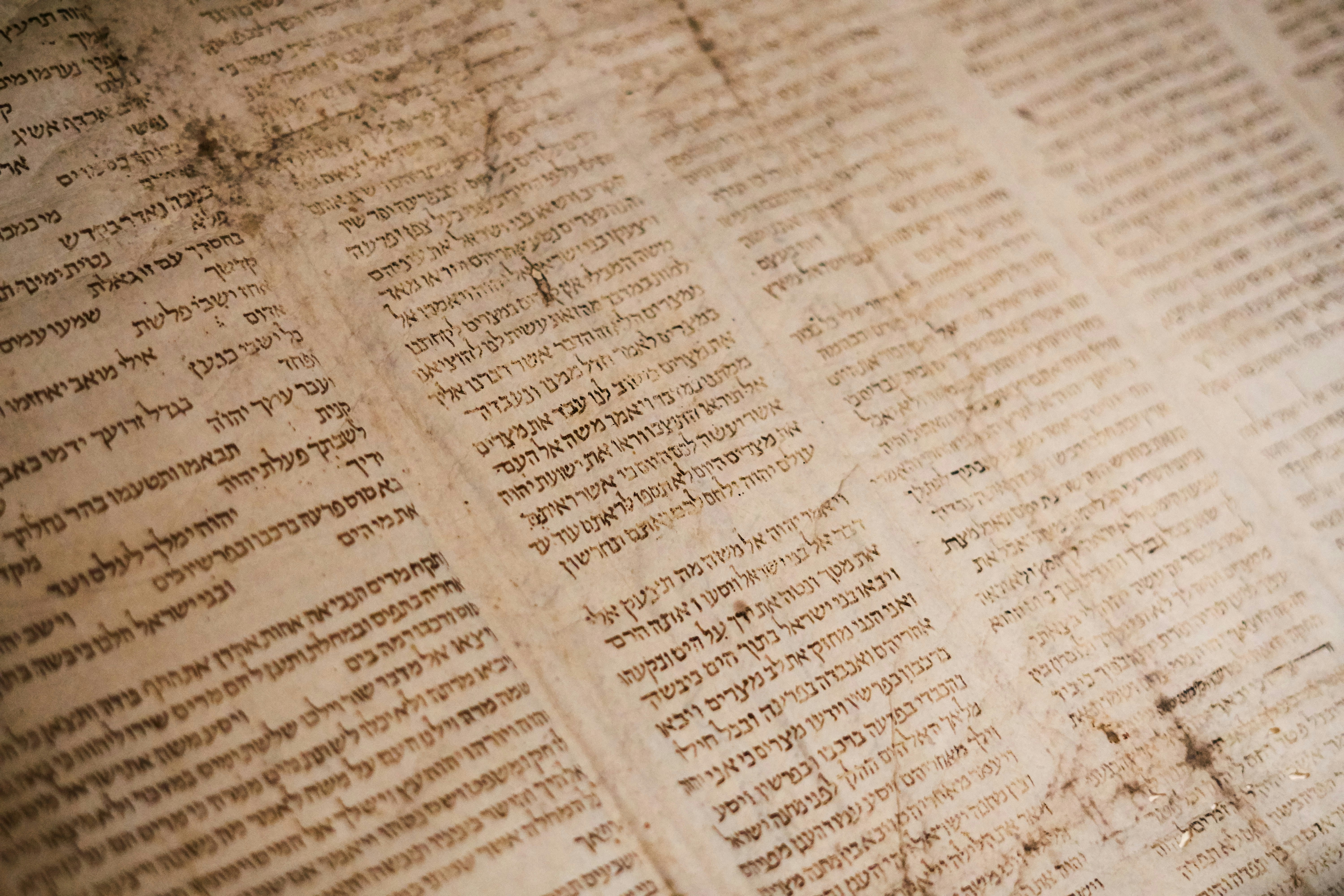 Närbild på Torah