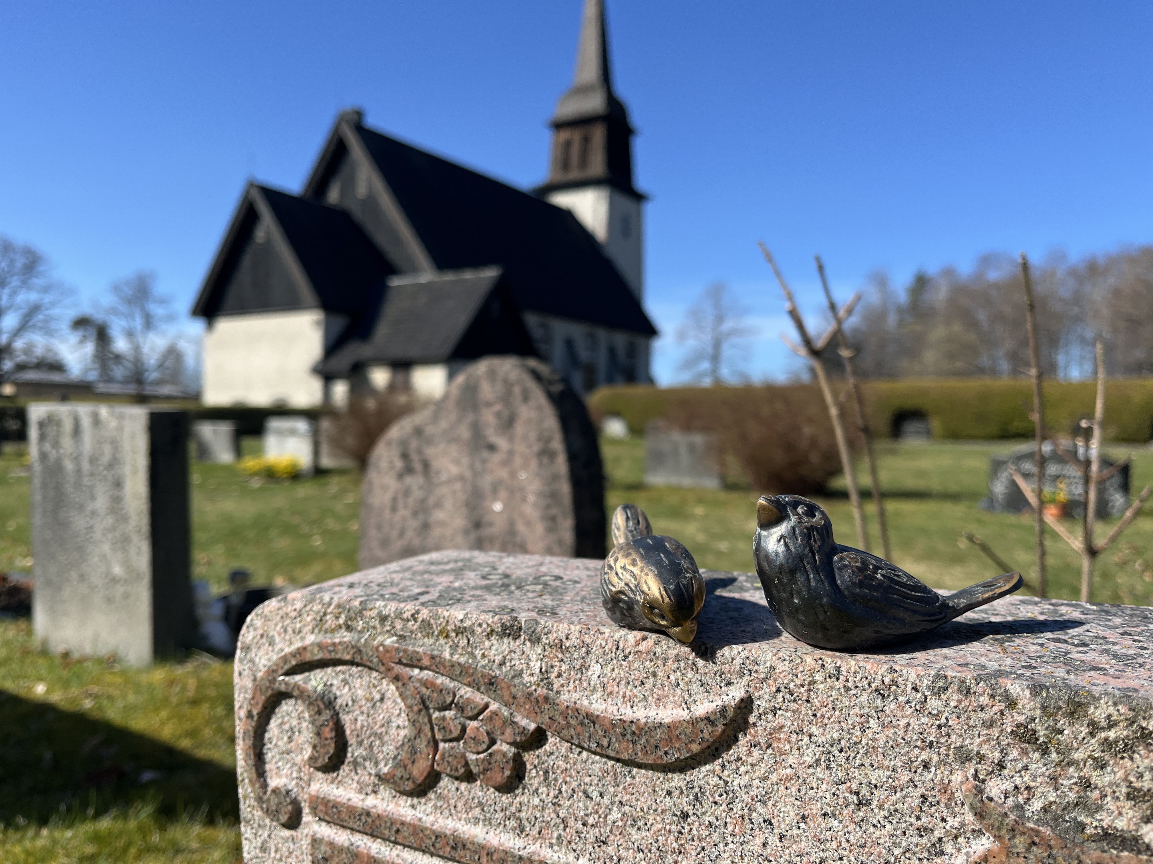 Fåglar på en gravsten