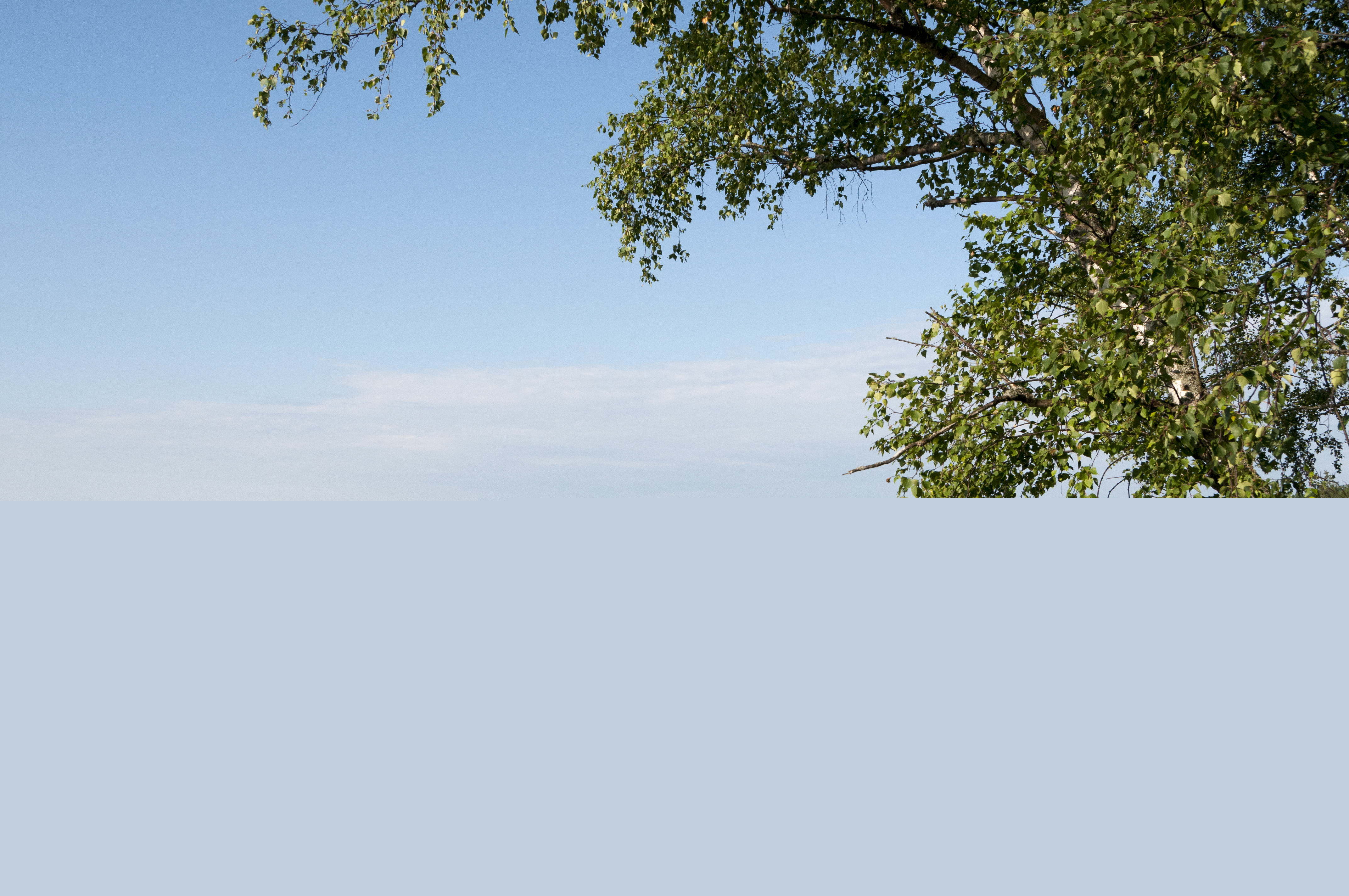 En stilla sjö under blå himmel.