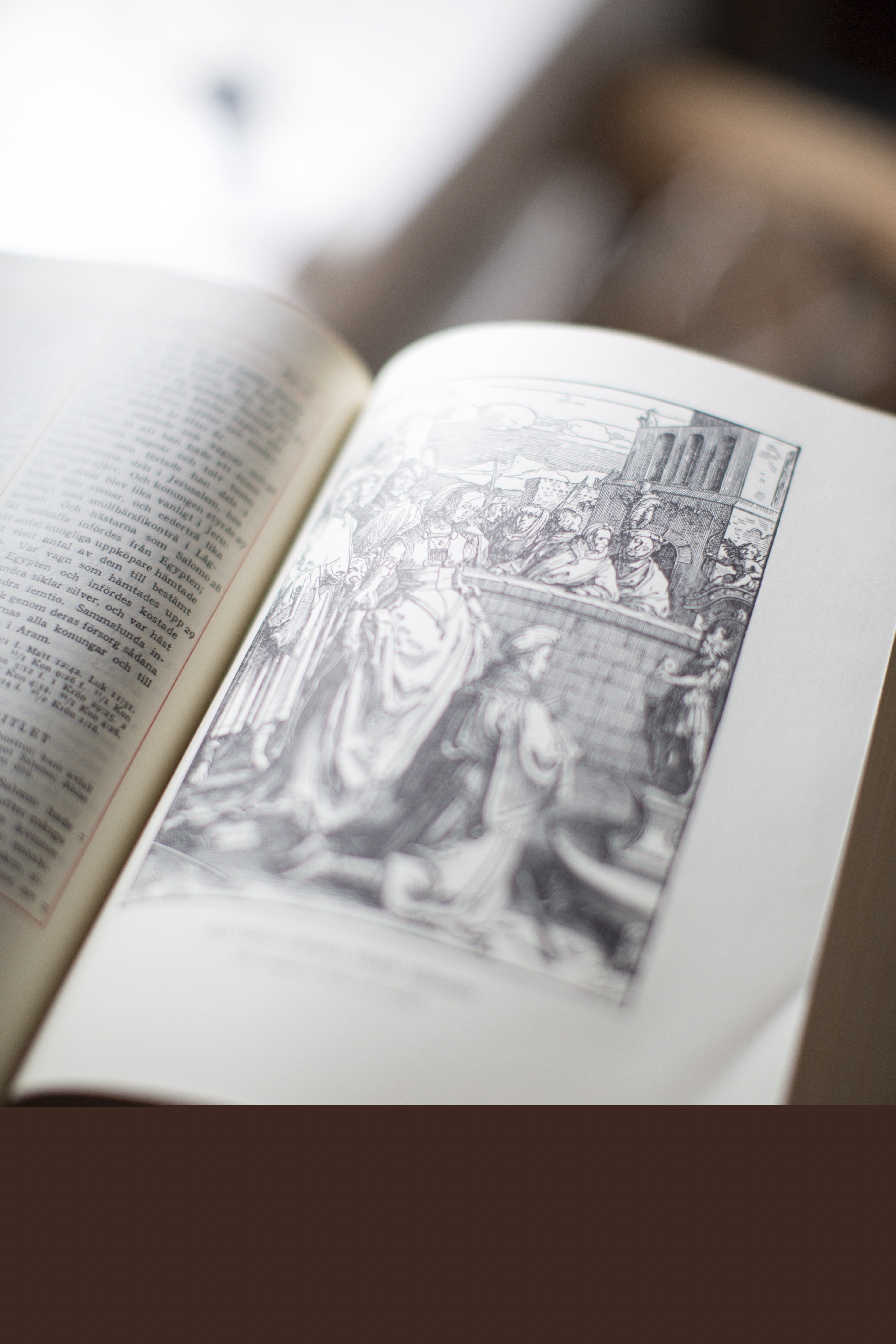 En bild i en uppslagen bibel.