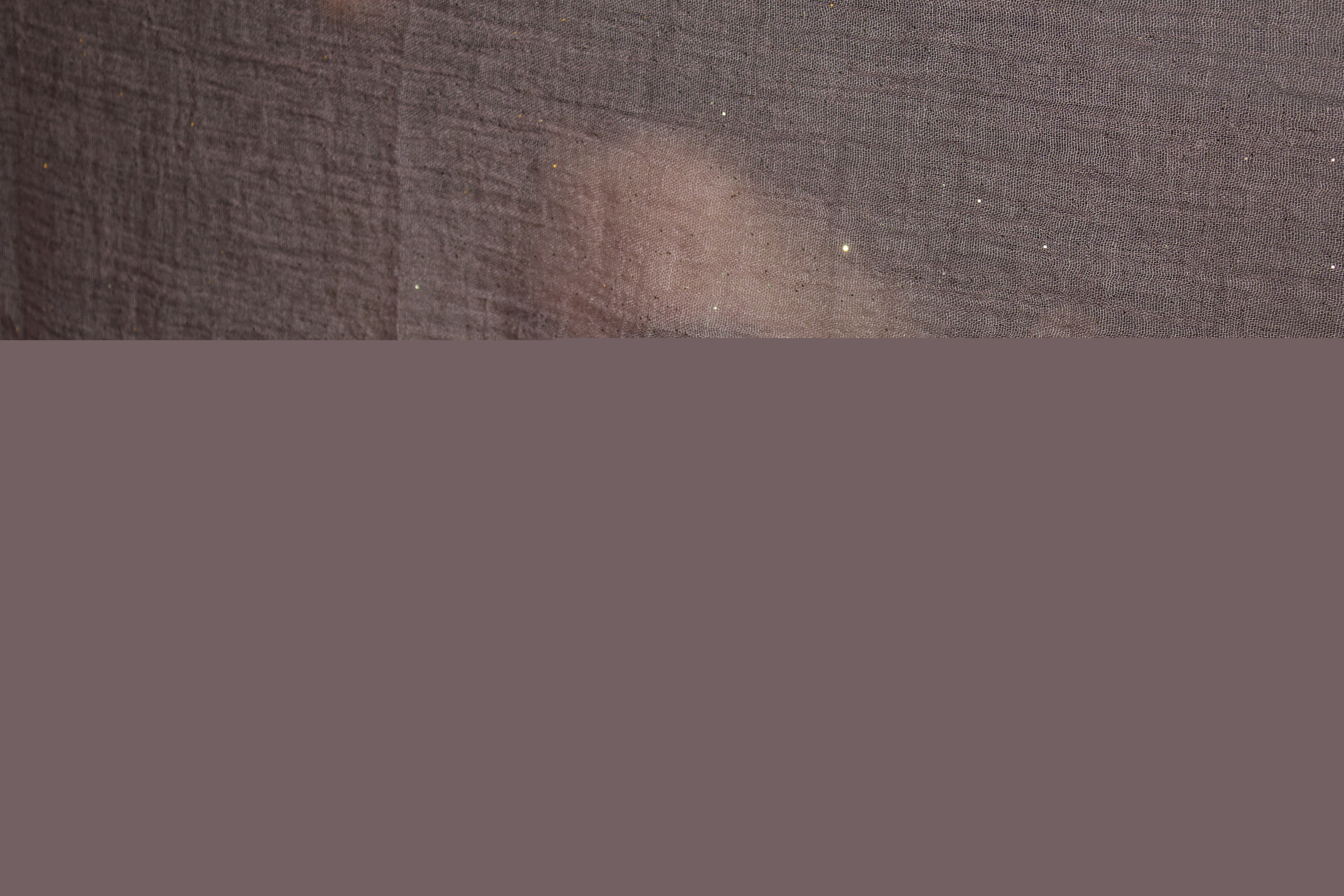 Ett ansikte skymtas bakom en lätt genomskinlig gardin.