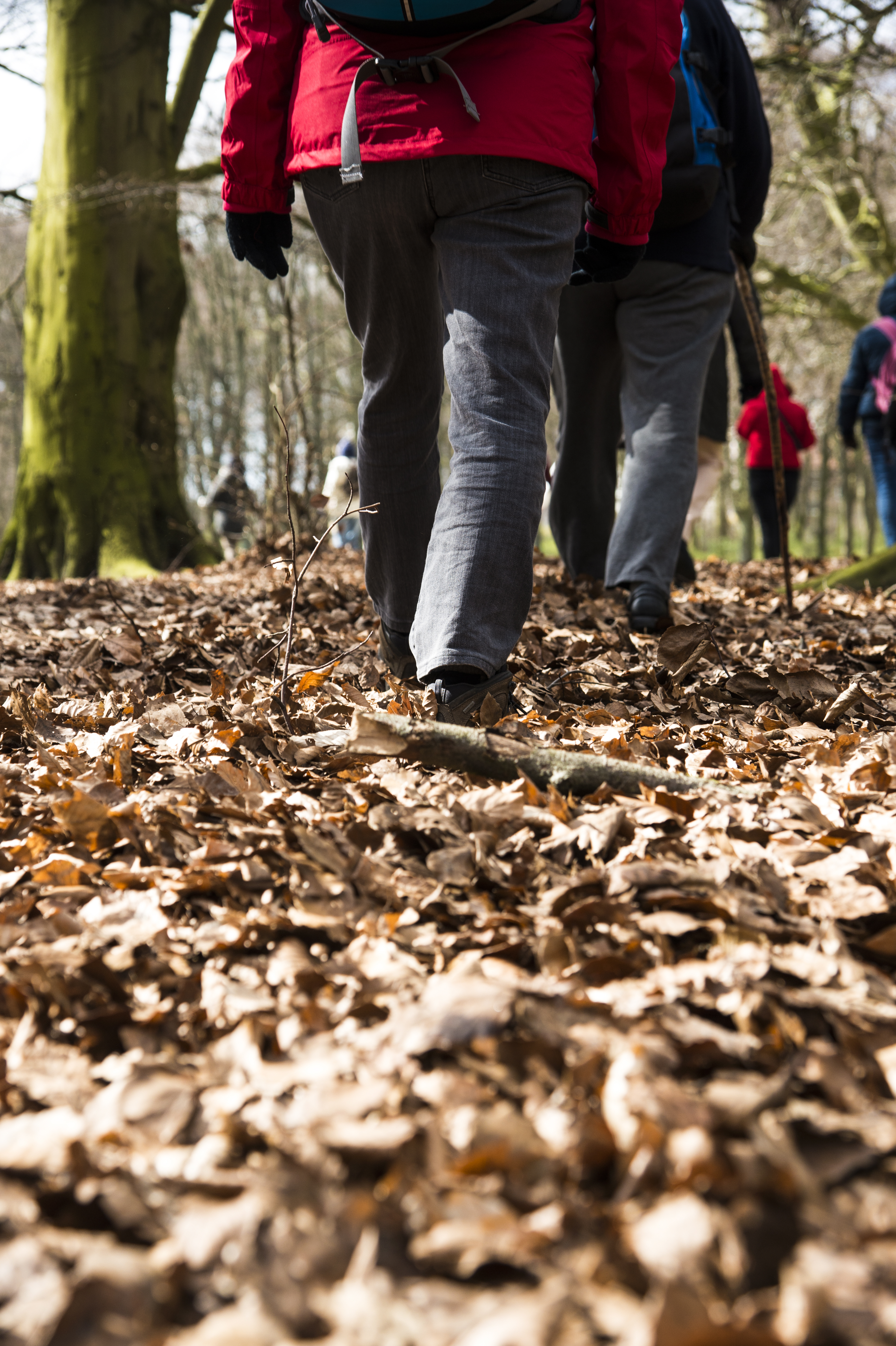 Några människor promenerar i skogen på en stig full av vissna höstlöv.