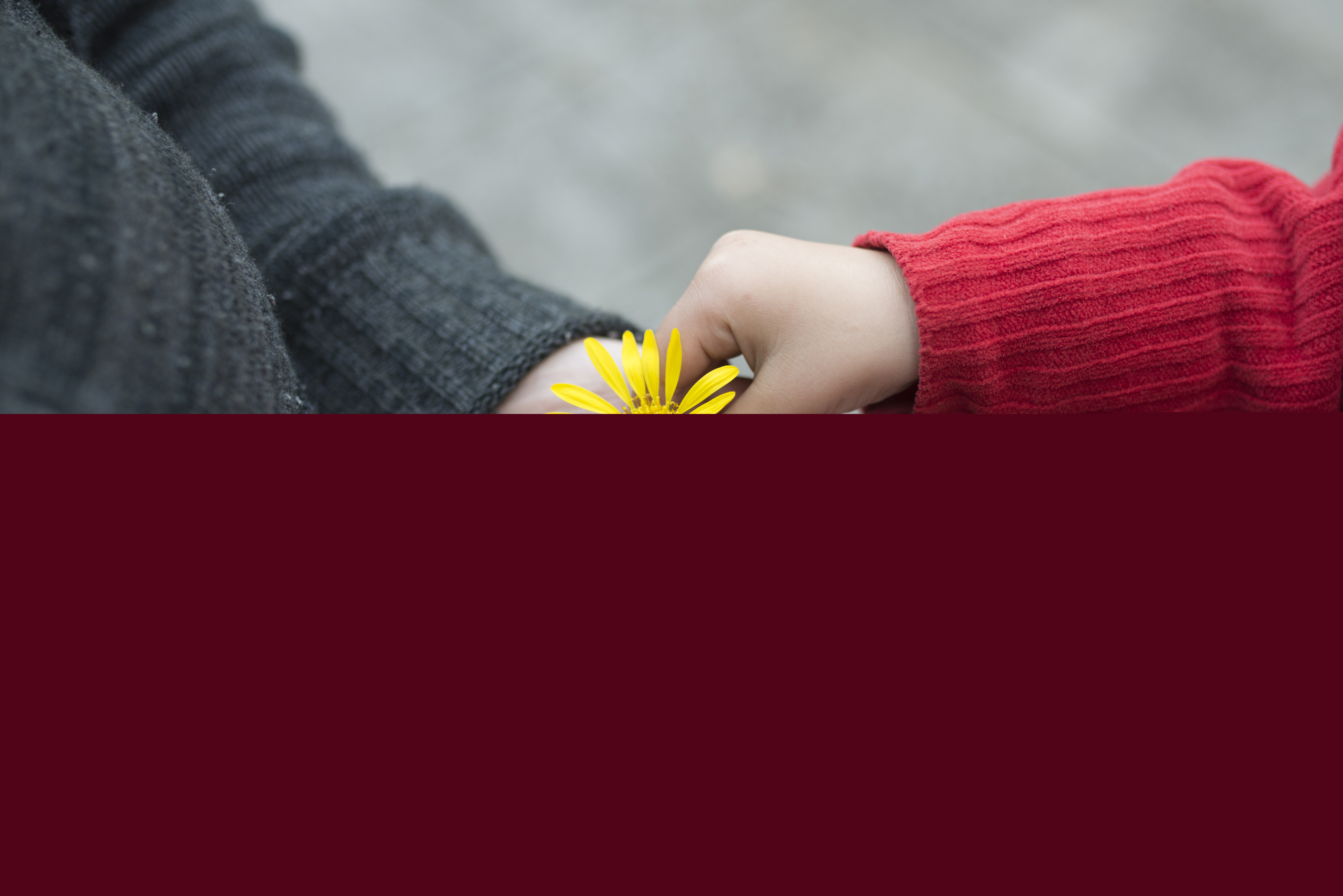 En barnhand lägger en gul blomma i en äldre persons hand.