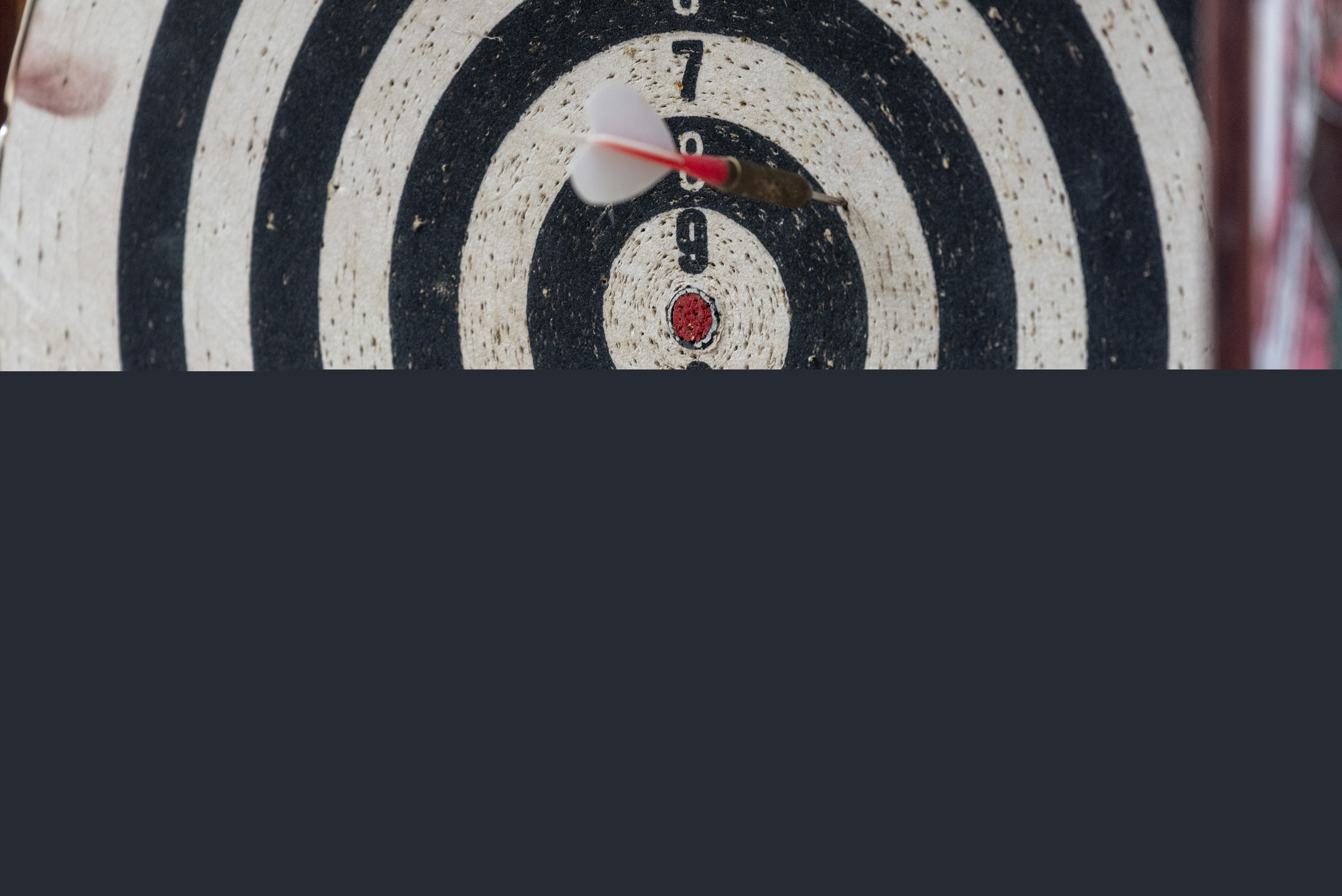 Närbild på en piltavla.