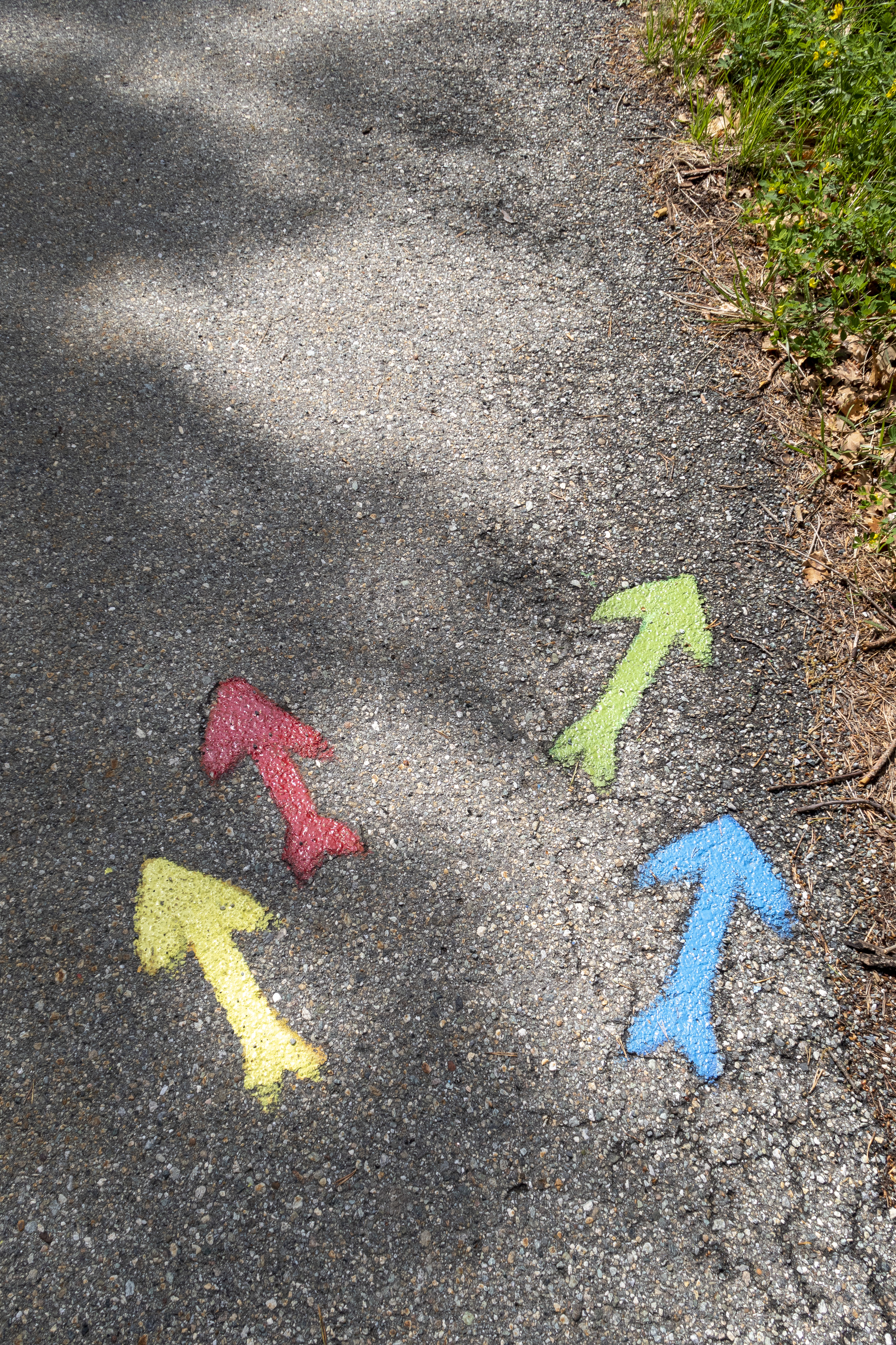 Pilar i olika färger målade på asfalten pekar åt olika håll.