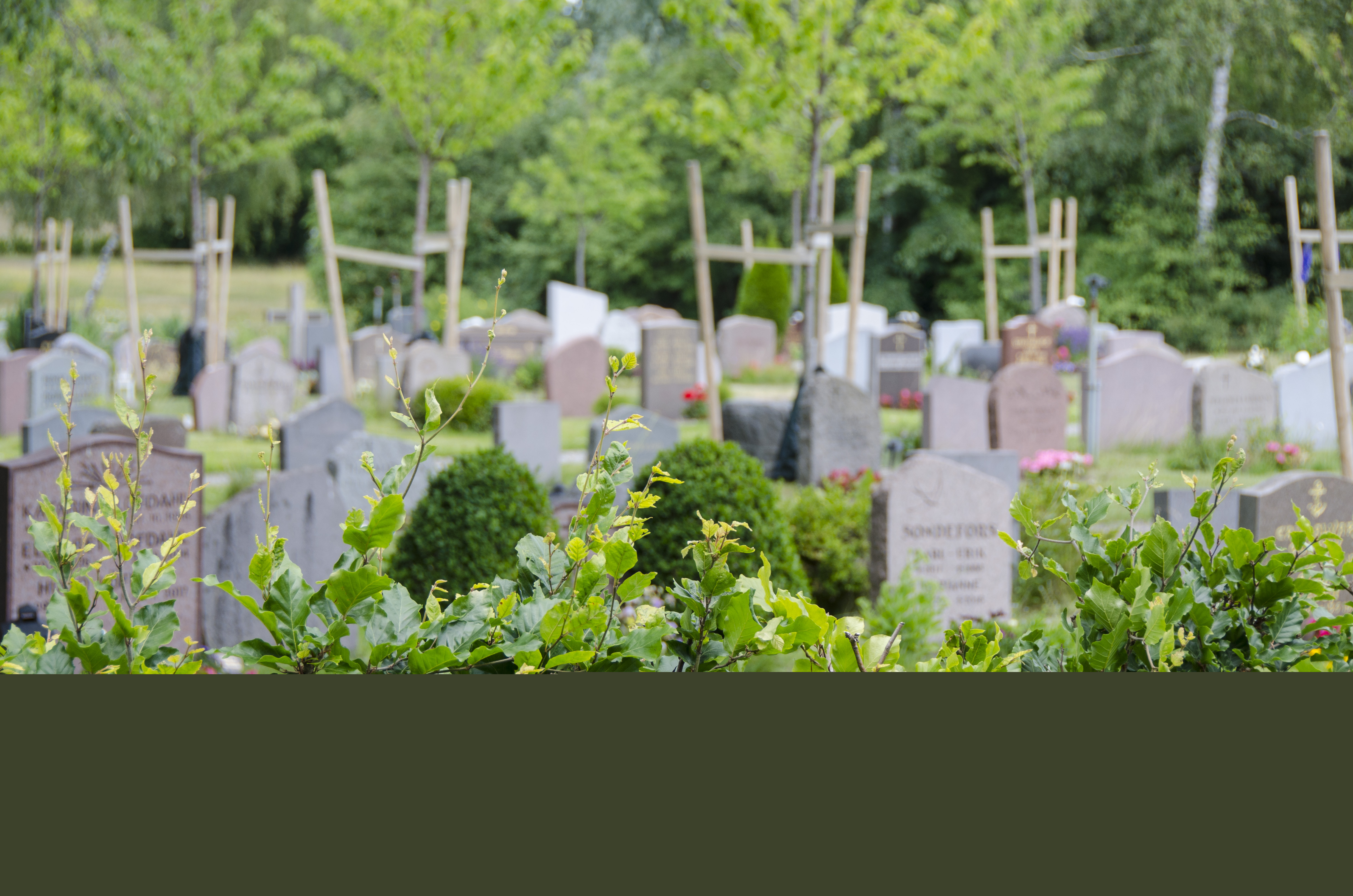 Gravstenar och grönska på en kyrkogård.