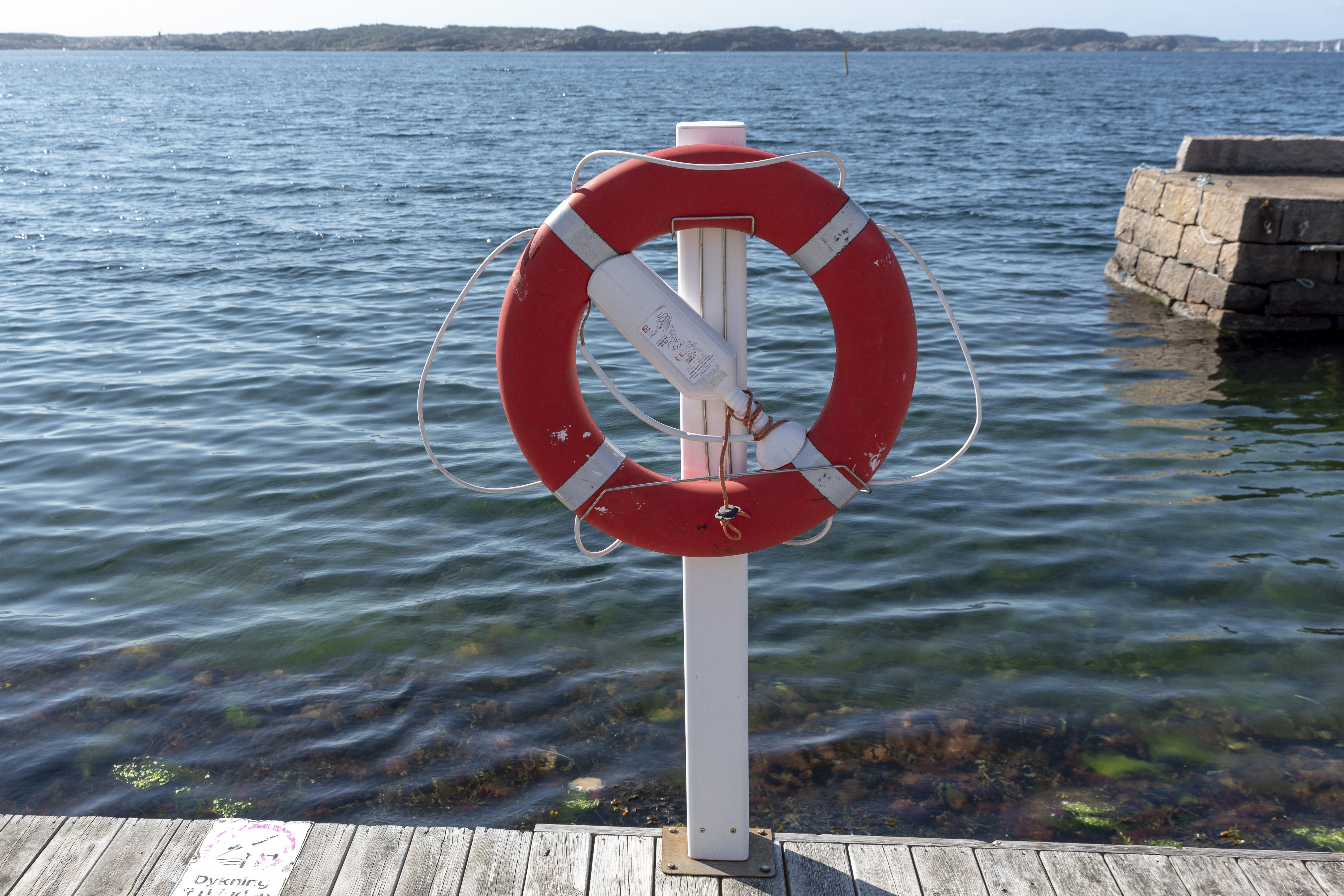En livboj på en brygga vid vattnet.