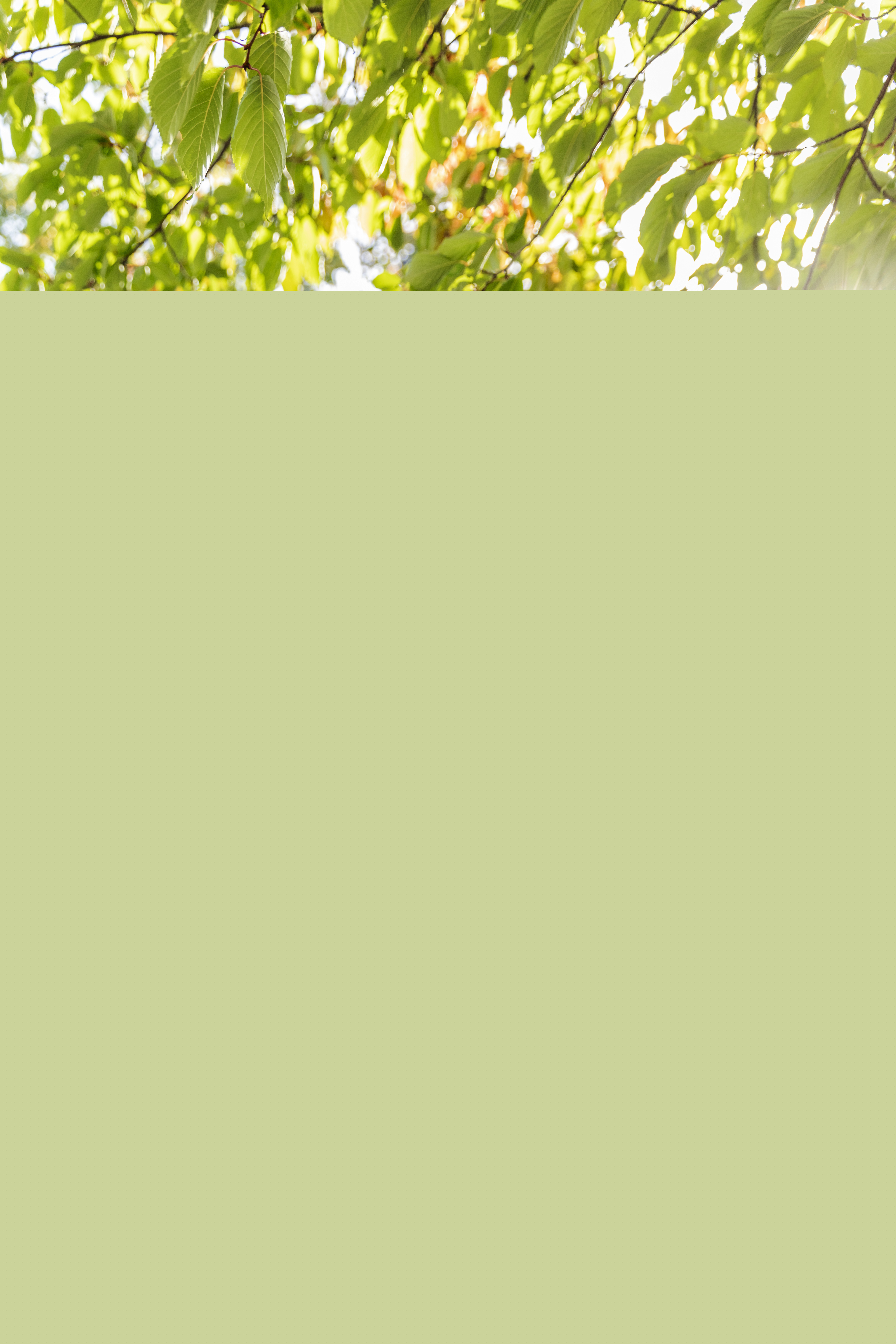 En skylt med texten Minneslund.