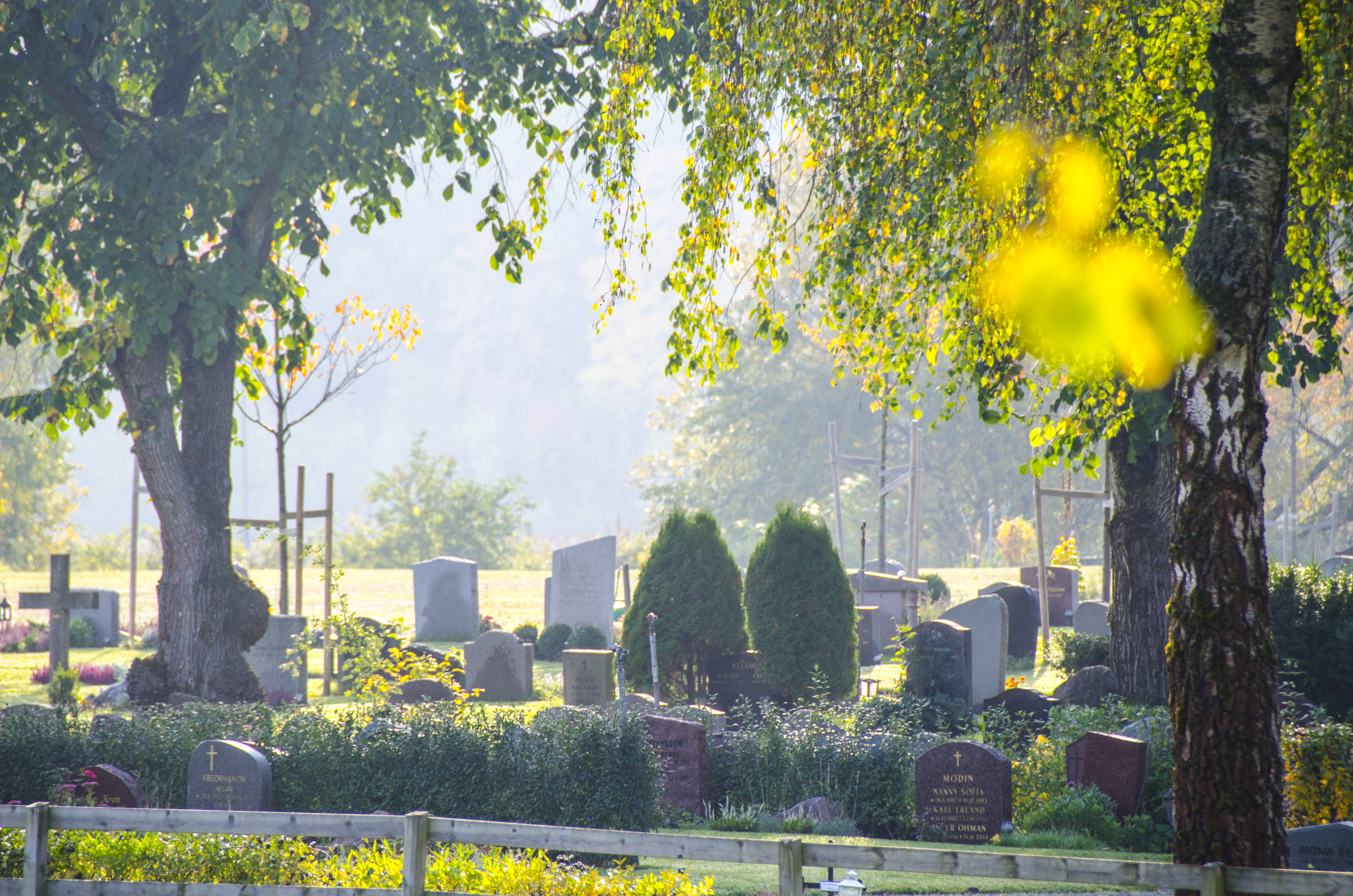 En kyrkogård i solsken.
