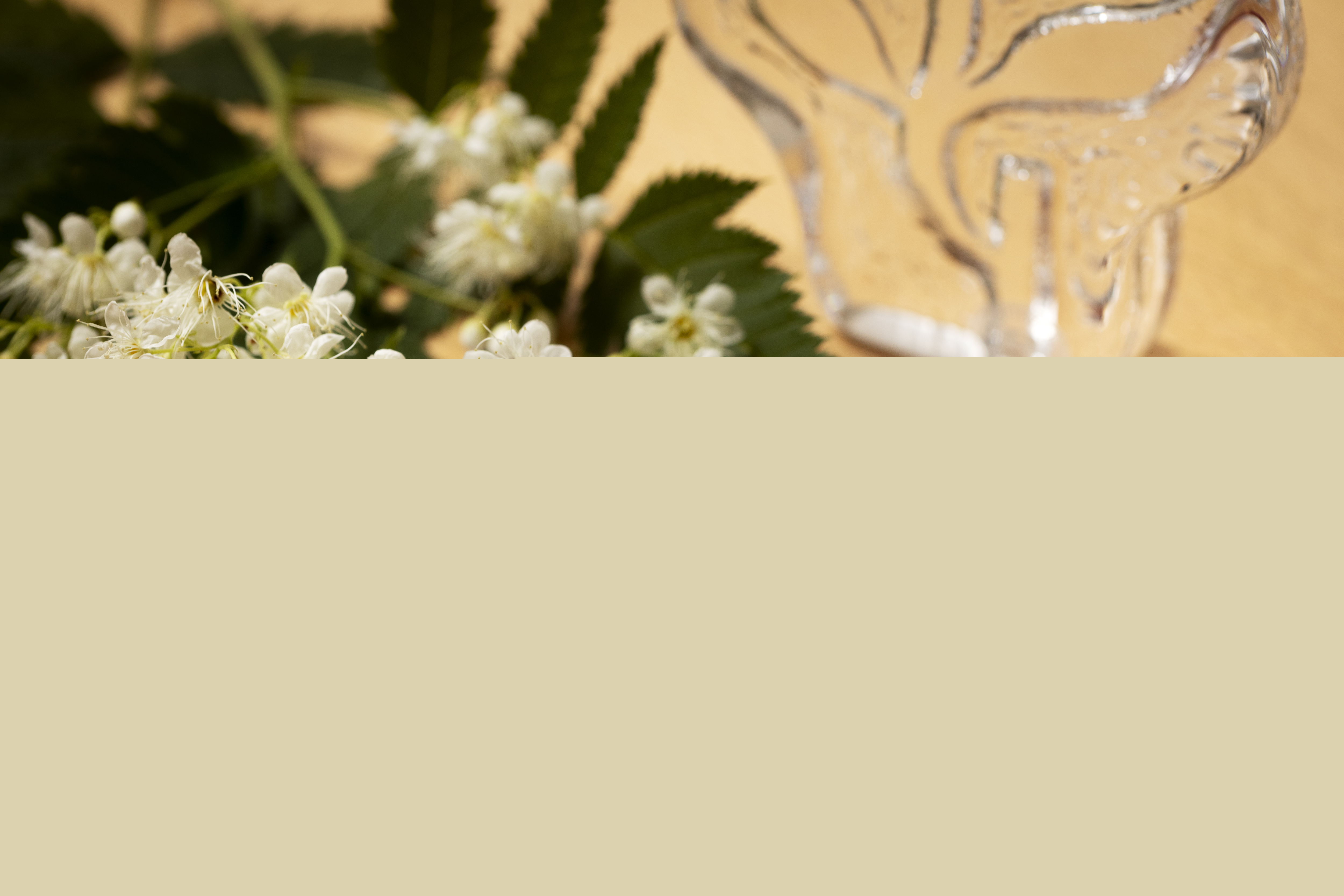 Närbild på två vigselringar som tillsammans med en blomkvist ligger på en uppslagen bok med rubriken Vigselgudstjänst.