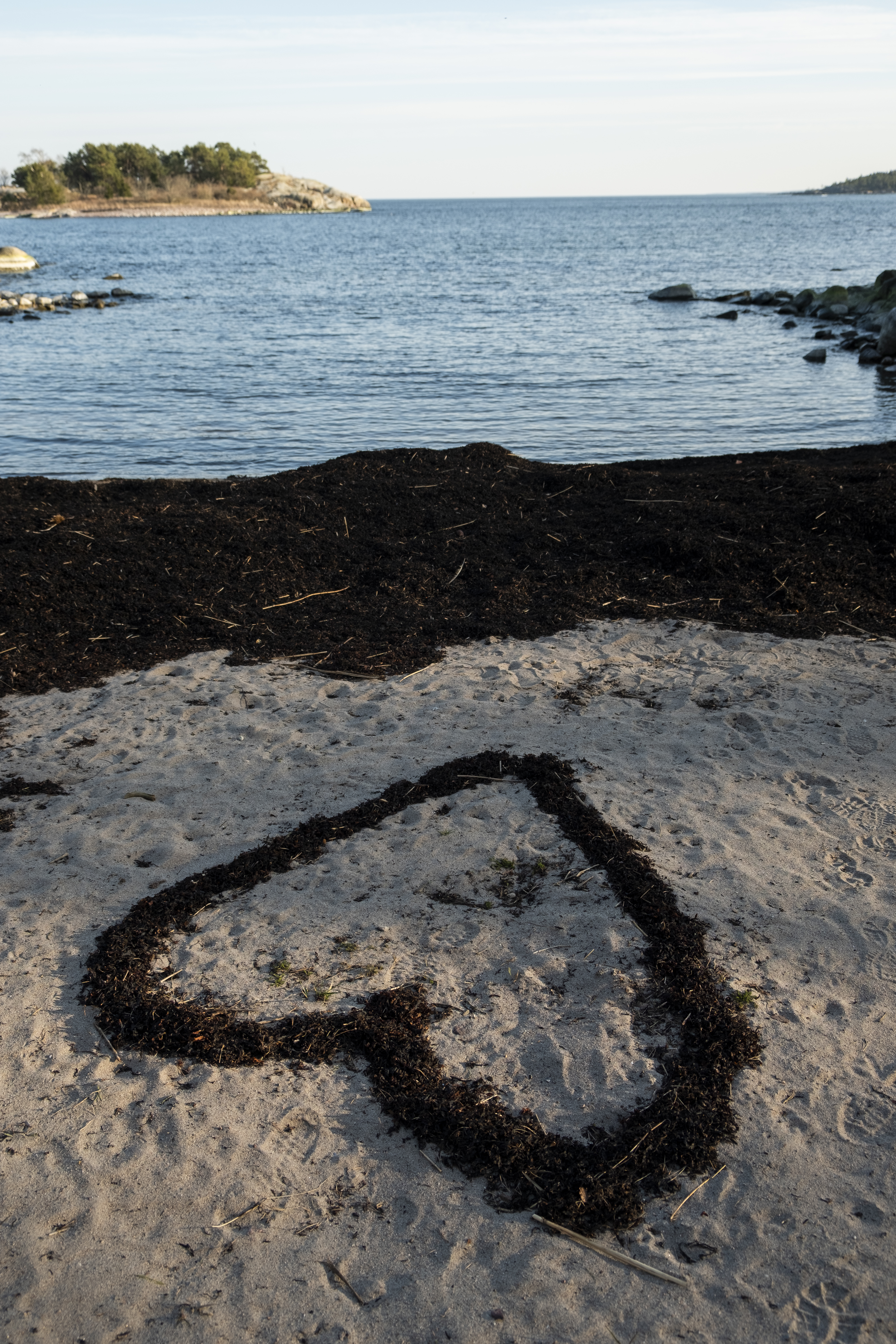 Någon har byggt ett hjärta av uppspolad tång på stranden.