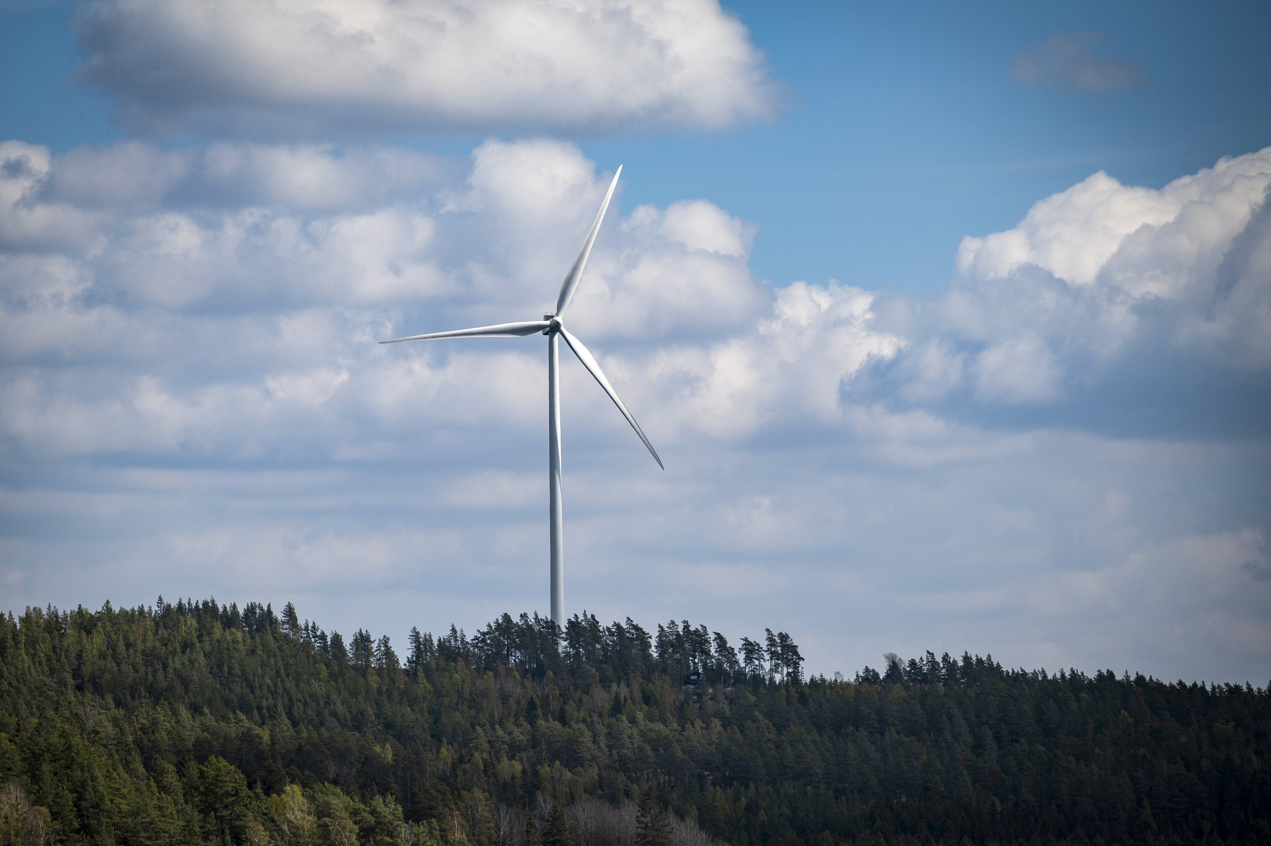 Ett vindkraftverk i ett skogsparti.