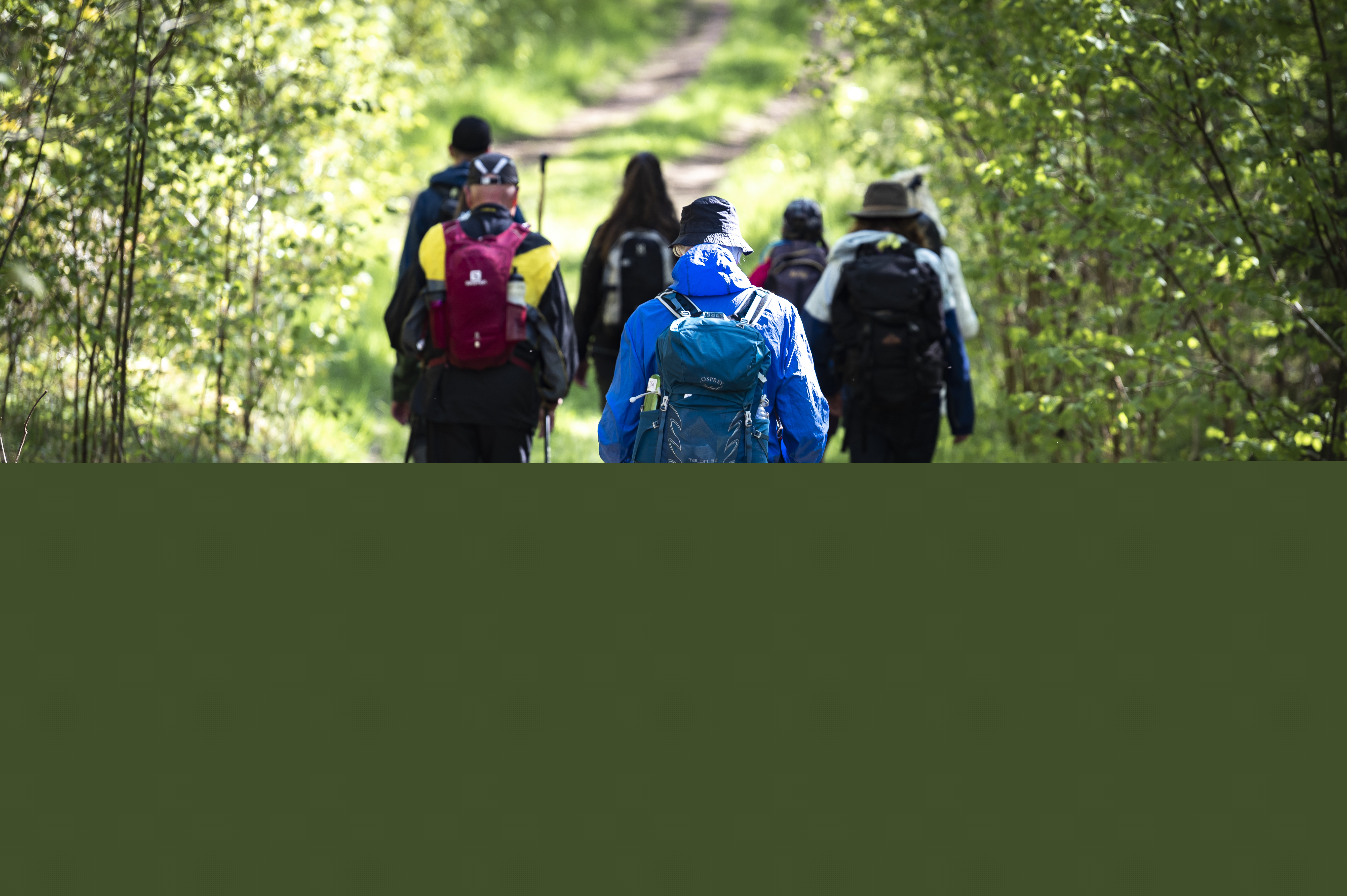 En grupp vandrare med ryggsäckar och vandringsstavar på en grusväg.
