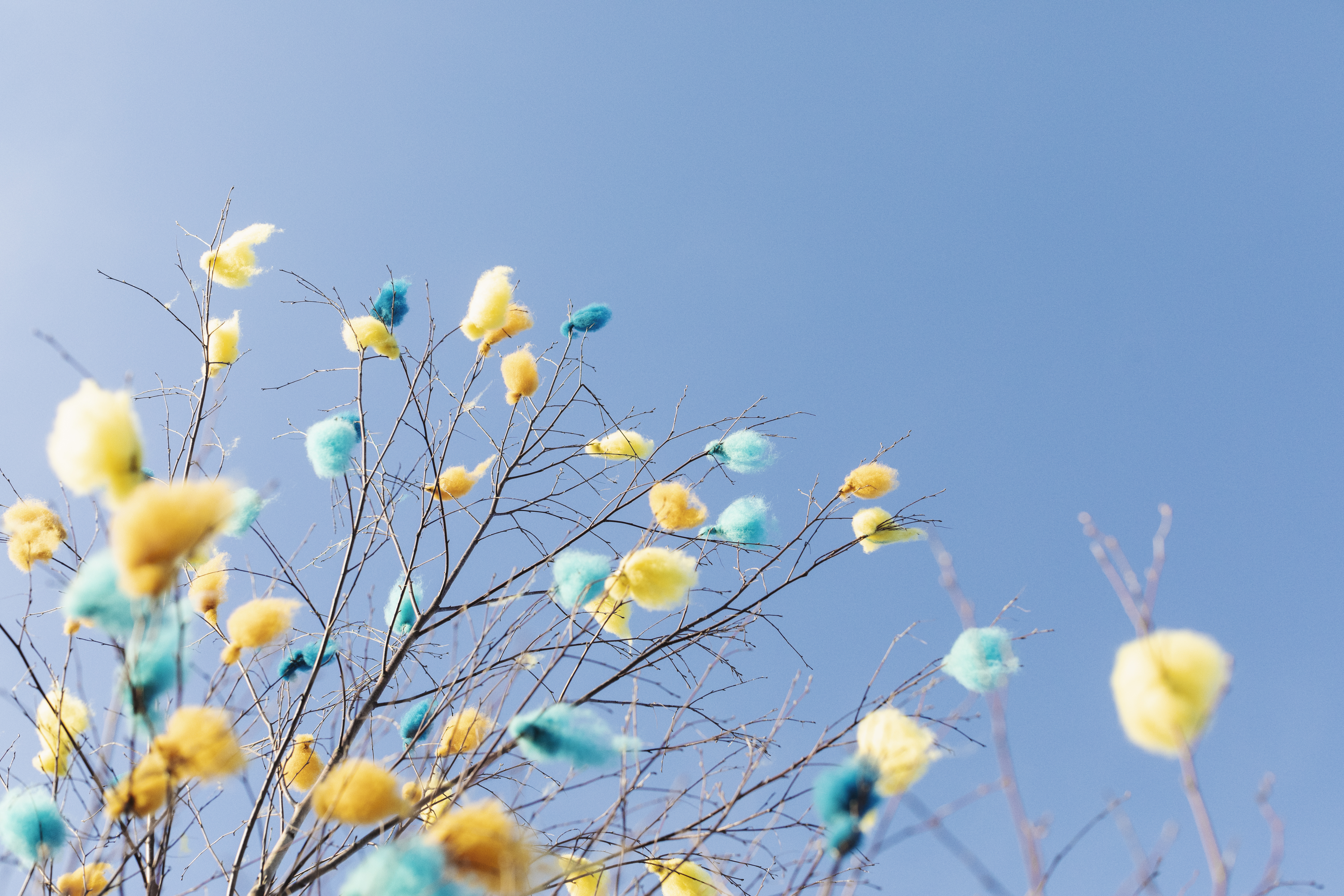 Påskris med fjädrar i turkos, gult och orange.