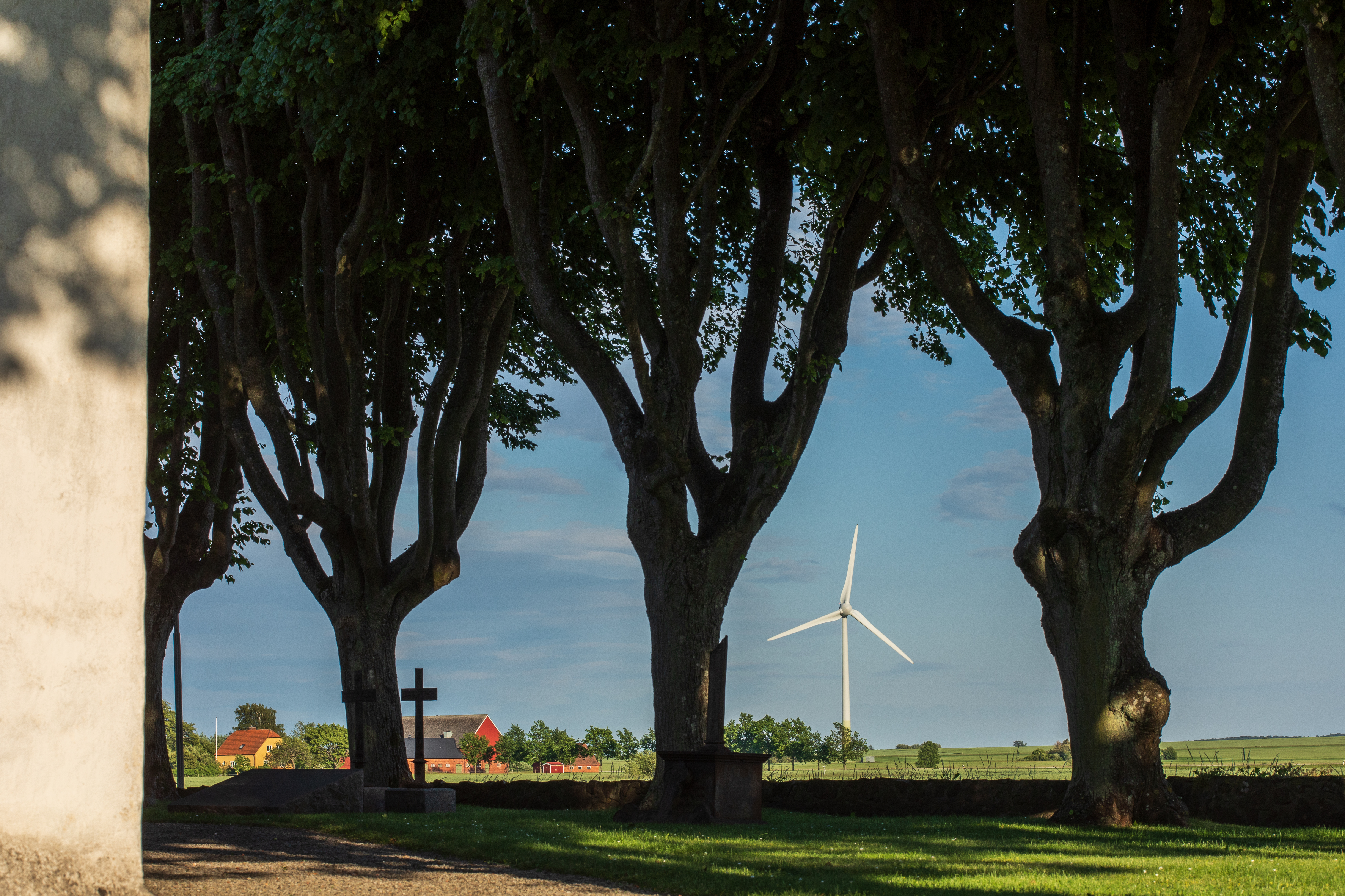 På kyrkogården, längs en gammal mur växer stora knotiga träd. Längre bort syns ett vindkraftverk.