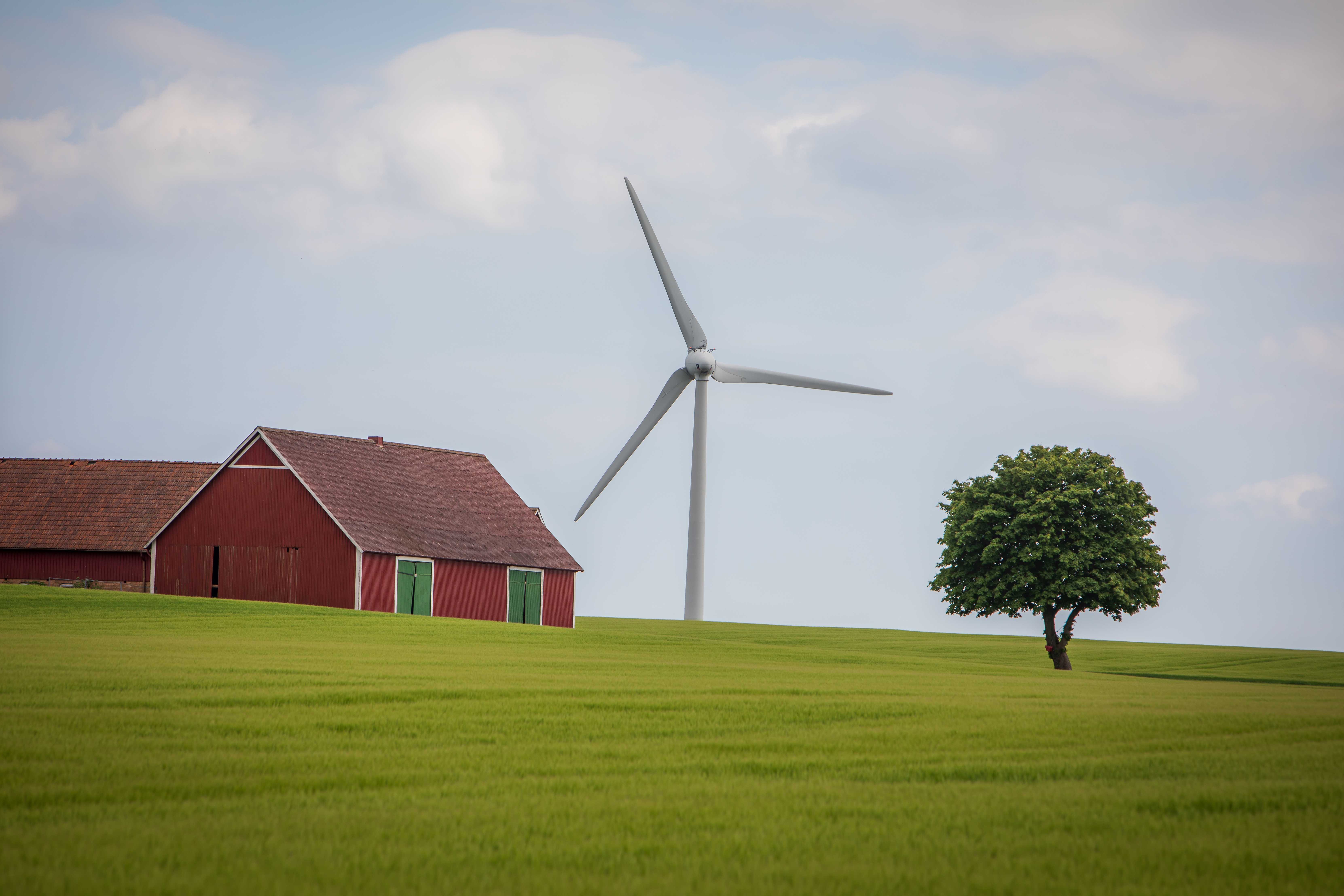 Ett sädesfält med några röda lador och ett ensamt träd. Längre bort syns ett vindkraftverk.