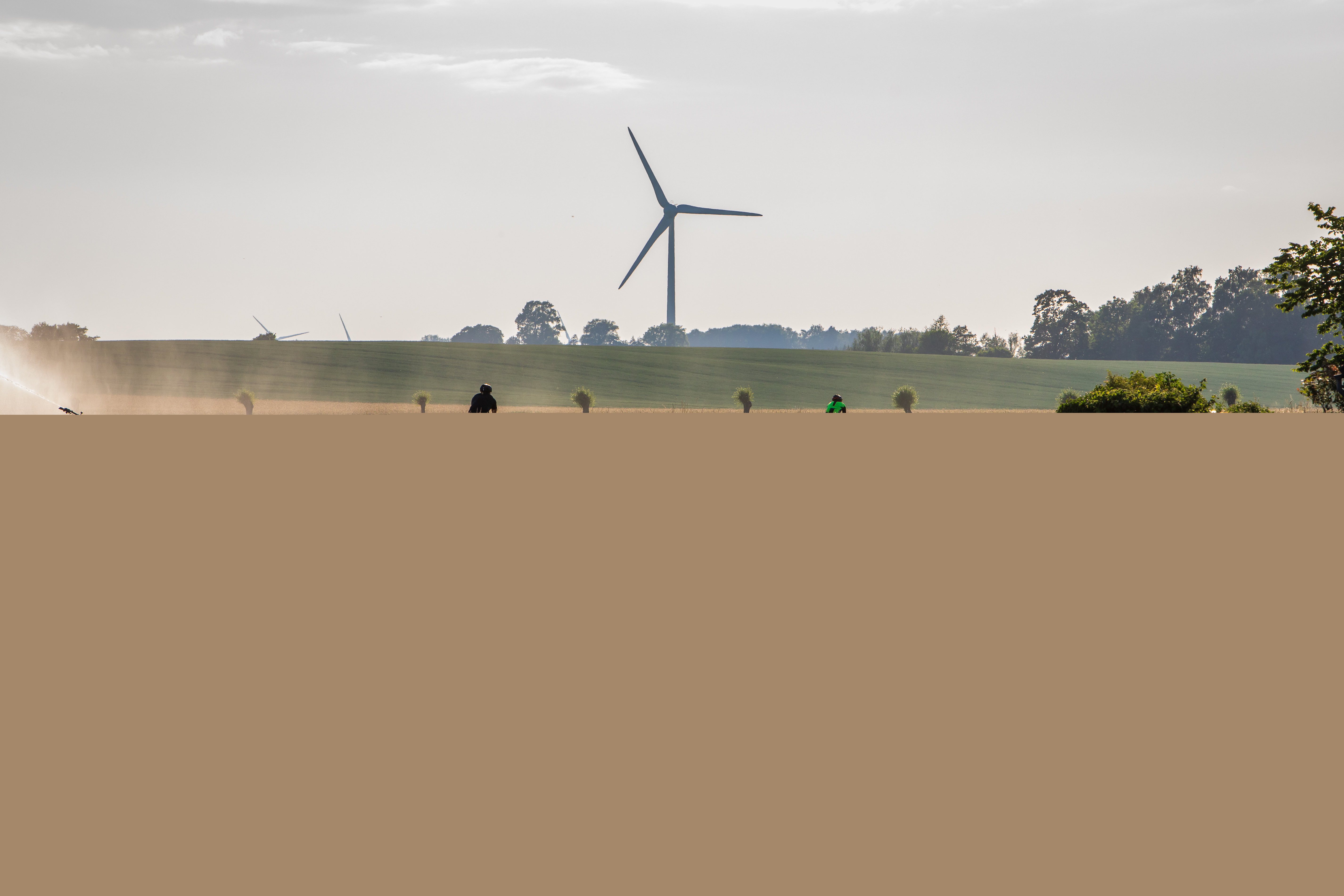 Ett åkerlandskap med en cyklist. Längre bort syns ett vindkraftverk.