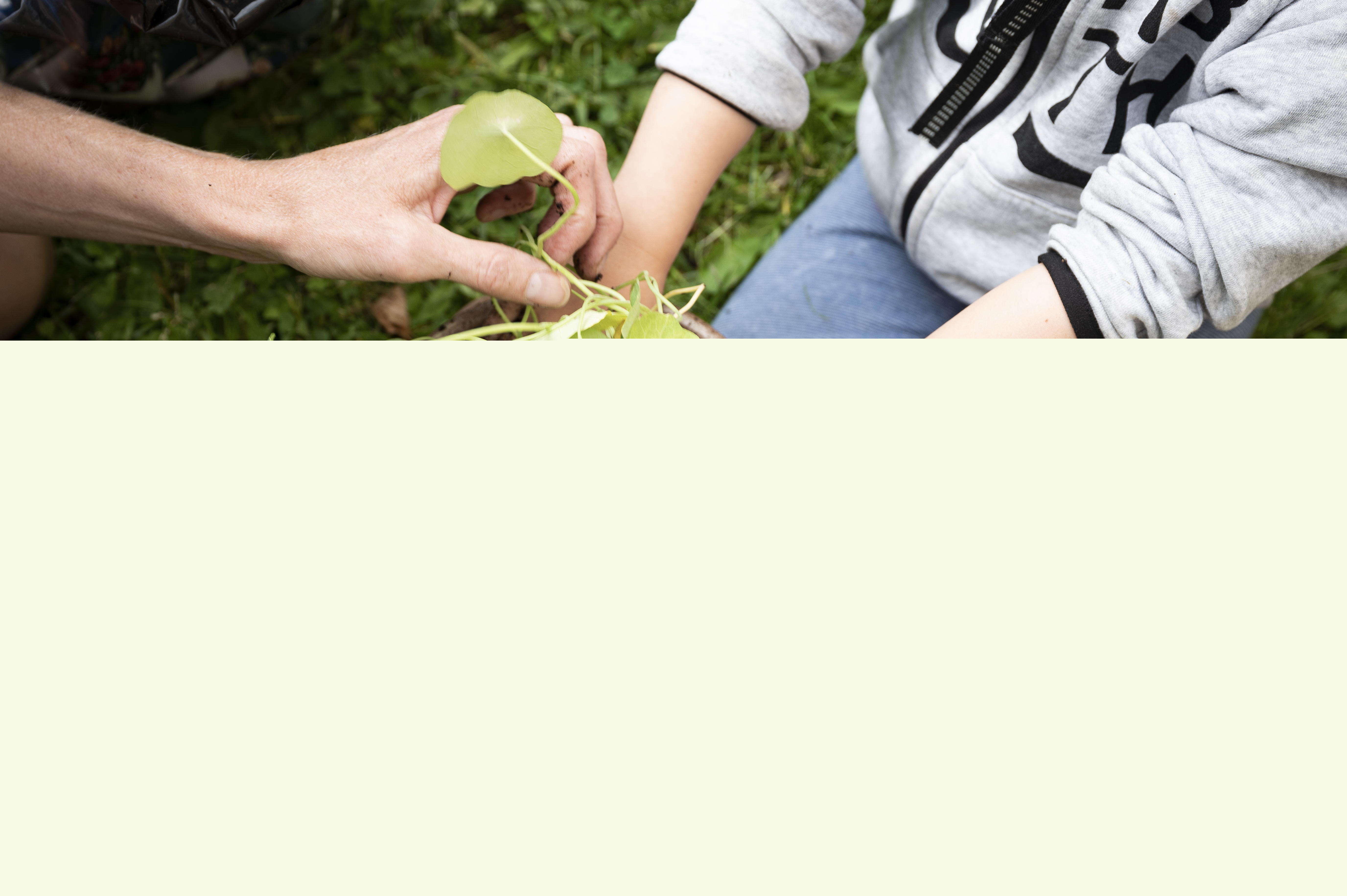 Ett litet barn planterar en krasse tillsammans med sin förälder.