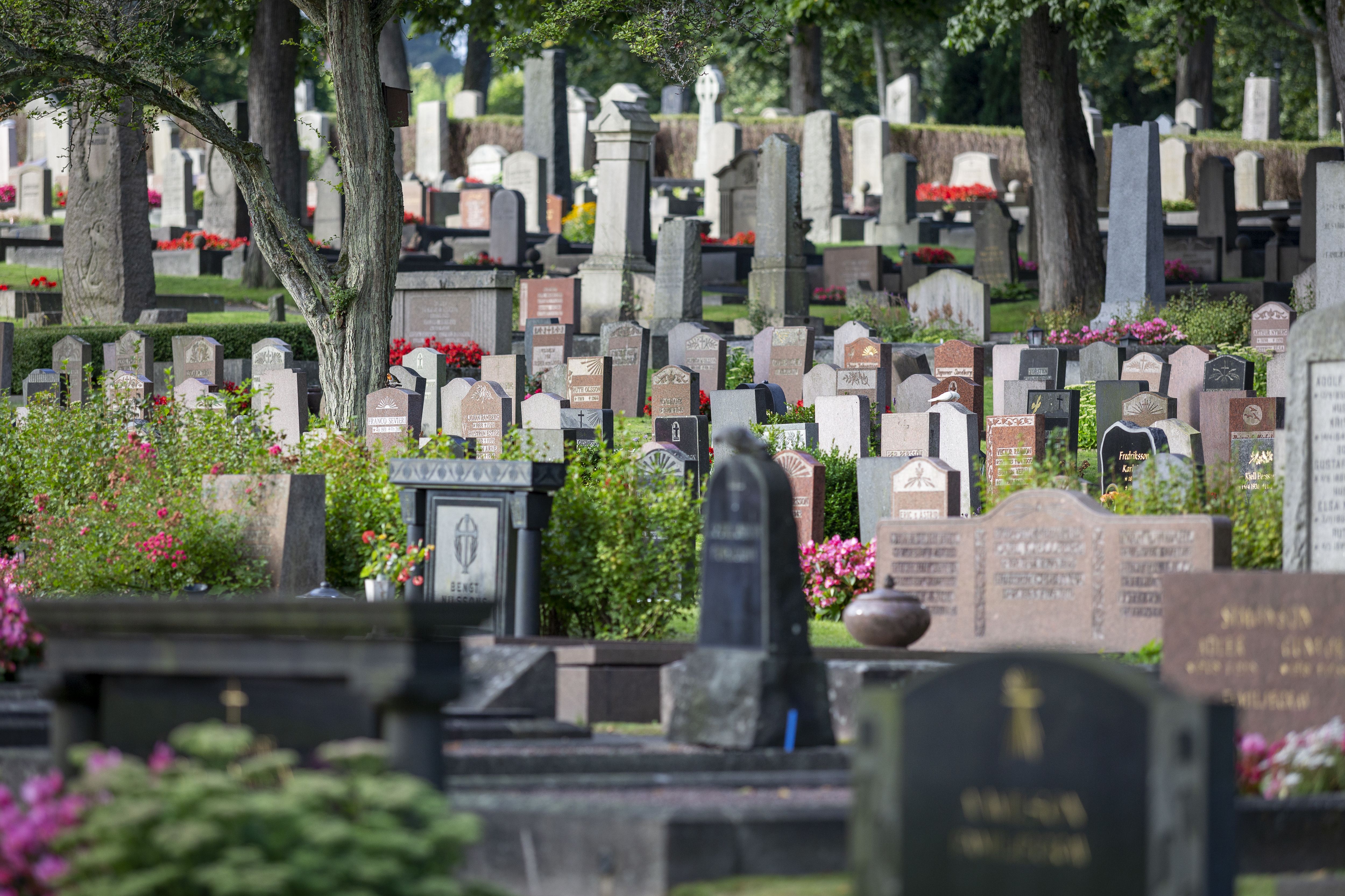 En blommig kyrkogård en solig dag.