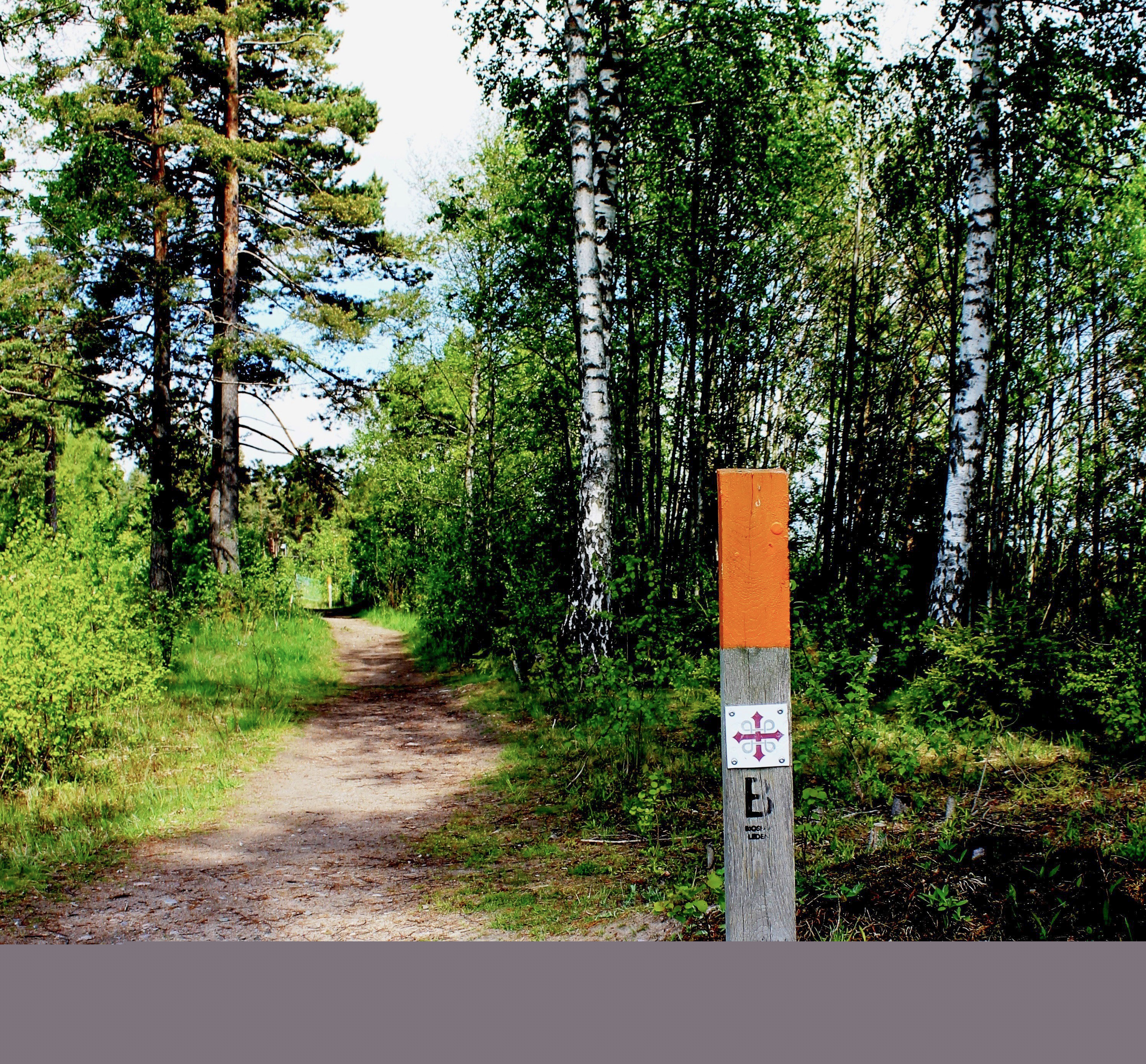 Bredvid stigen i skogen sitter en pinne med markeringen för pilgrimsled.